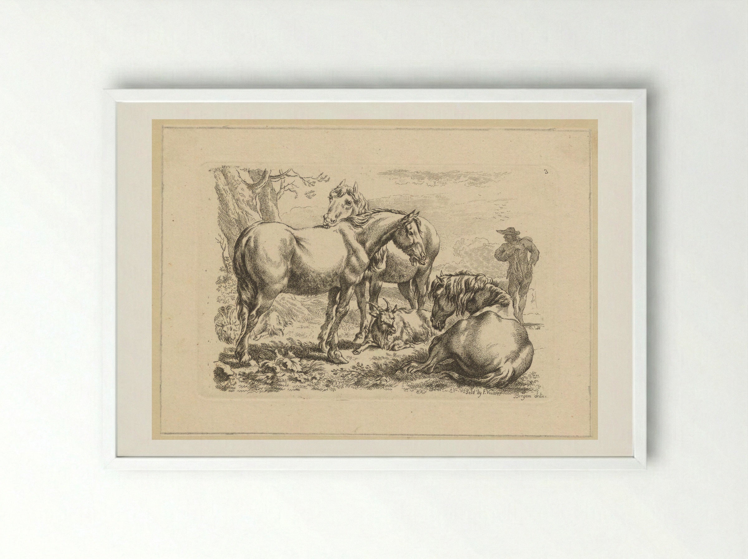 Drie paarden een geit - François Vivares - Framed Print White