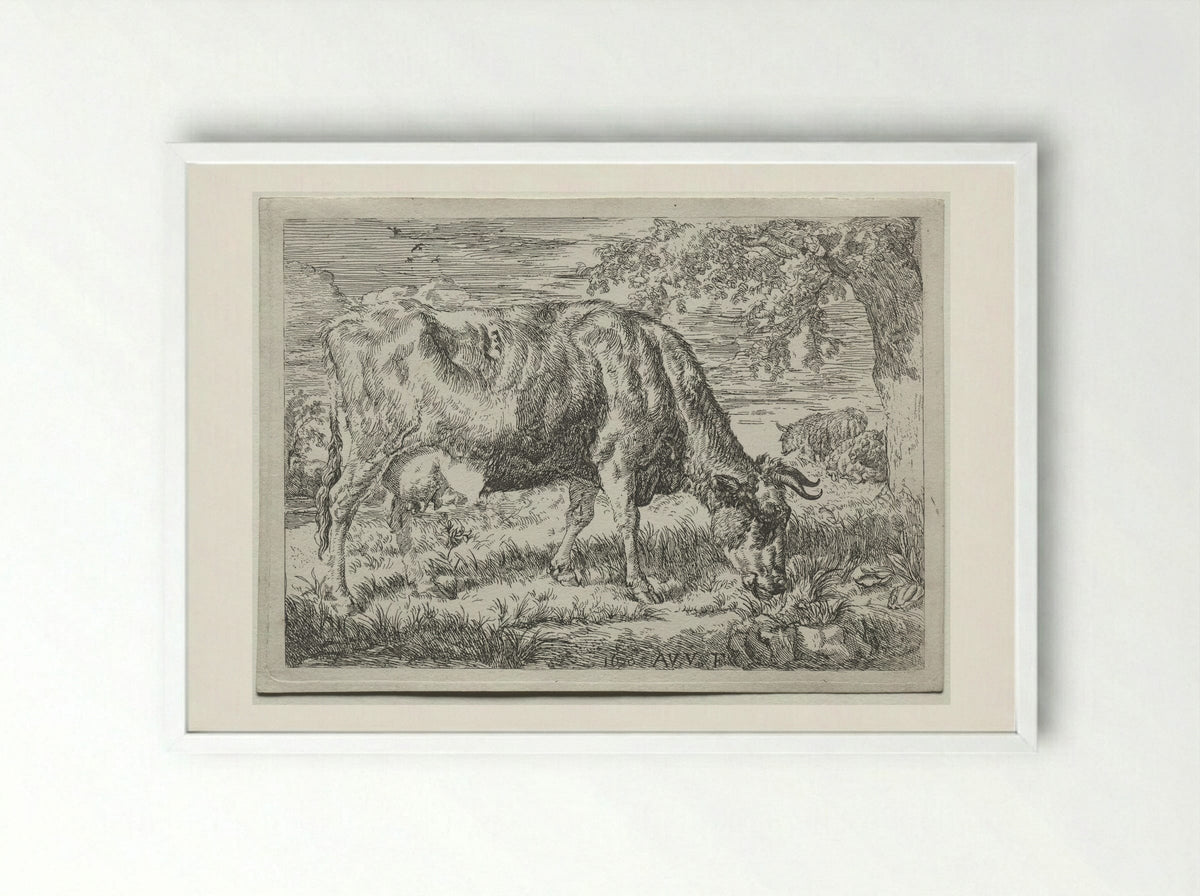 Two Cows Under a Tree - Adriaen van de Velde - Framed Print White
