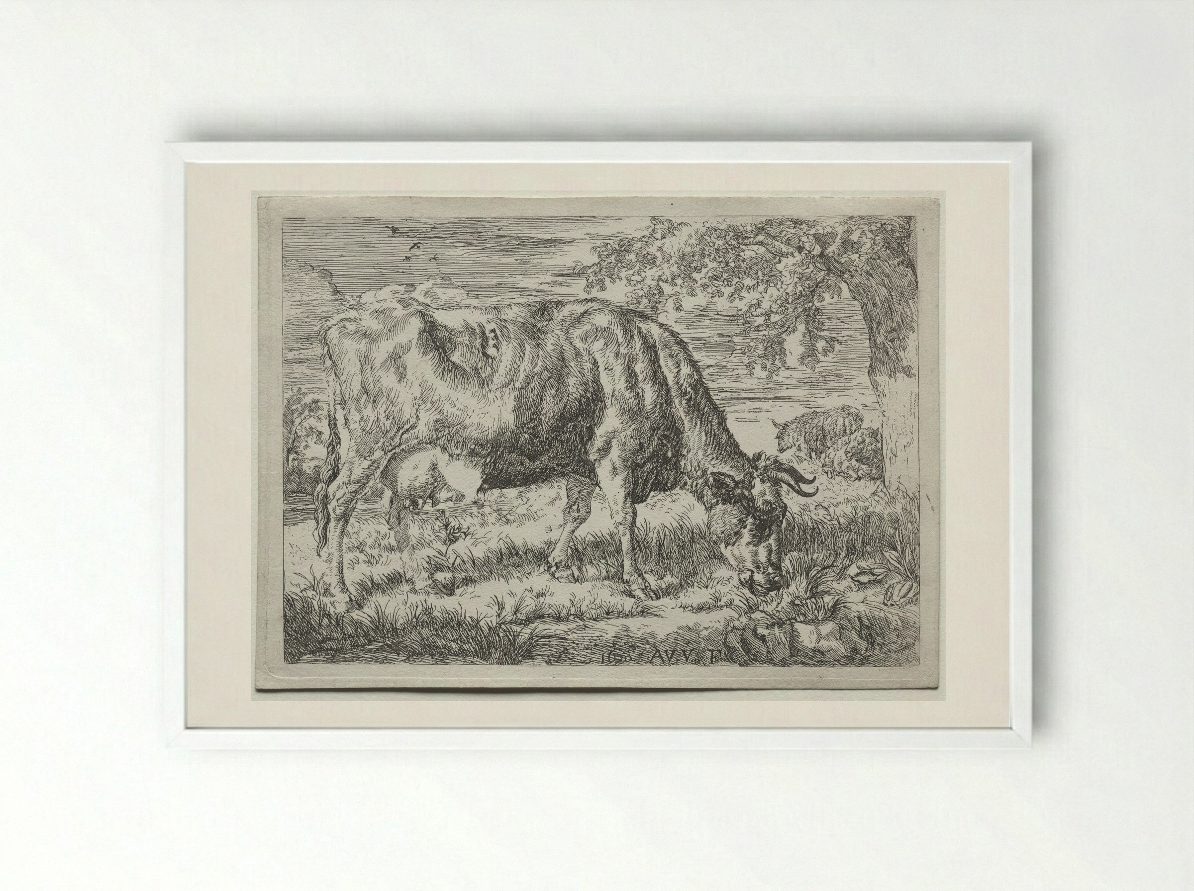 Two Cows Under a Tree - Adriaen van de Velde - Framed Print White