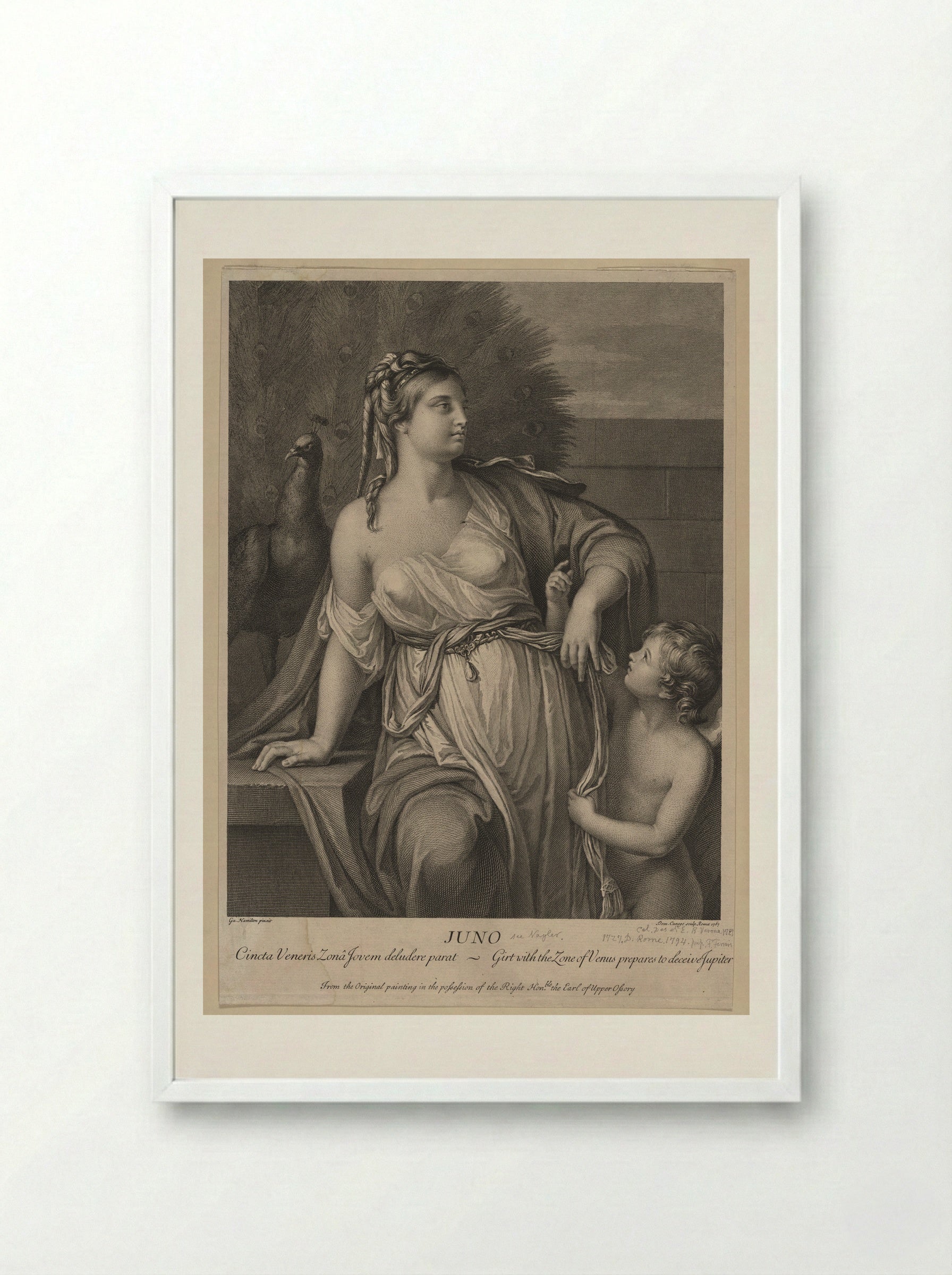 Juno - Domenico Cunego - Framed Print White