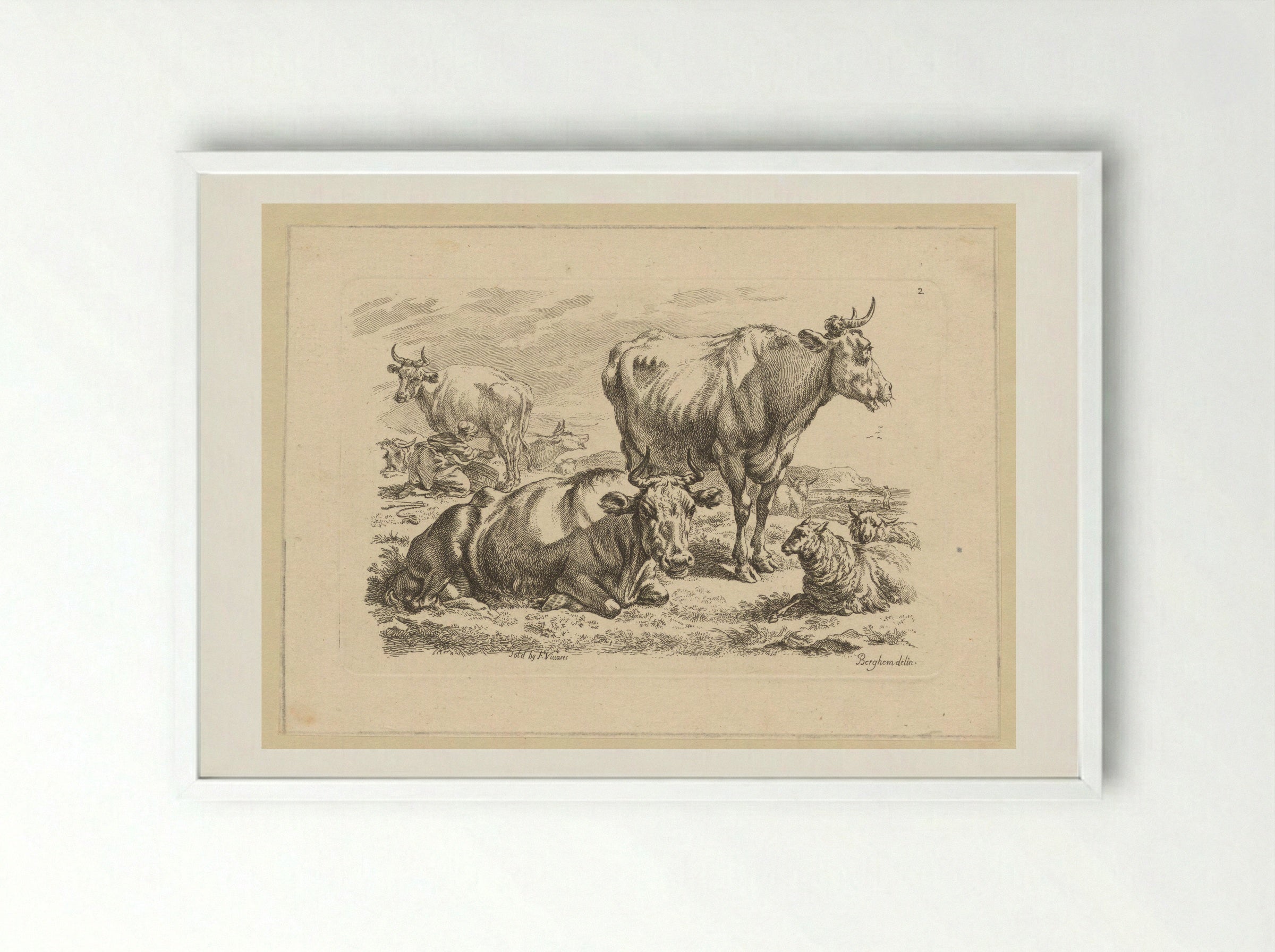 Staande en liggende runderen en een koe die gemolken wordt - François Vivares - Framed Print White