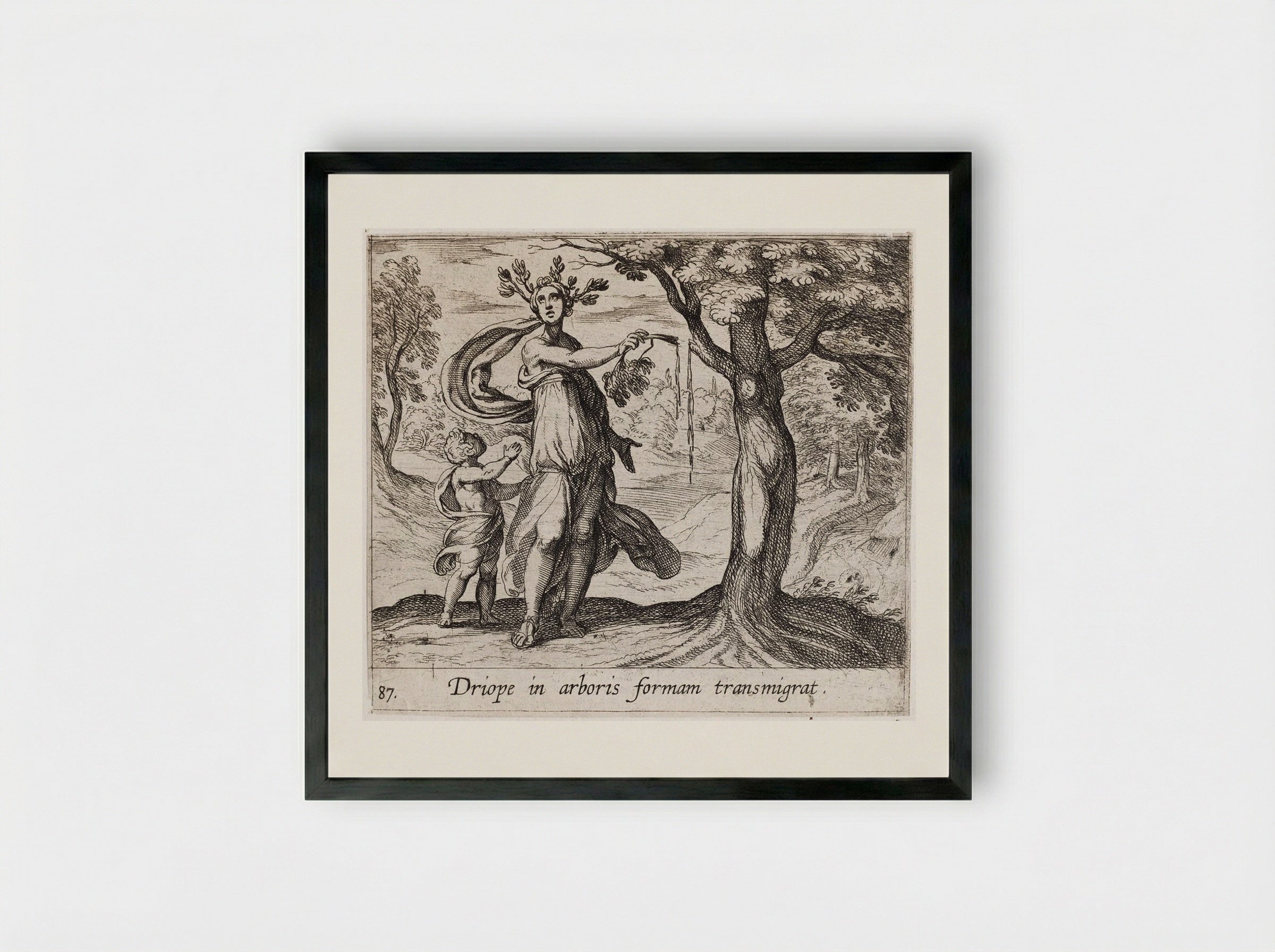 Dryope Changed into a Lotus Tree - Antonio Tempesta - Framed Print Black