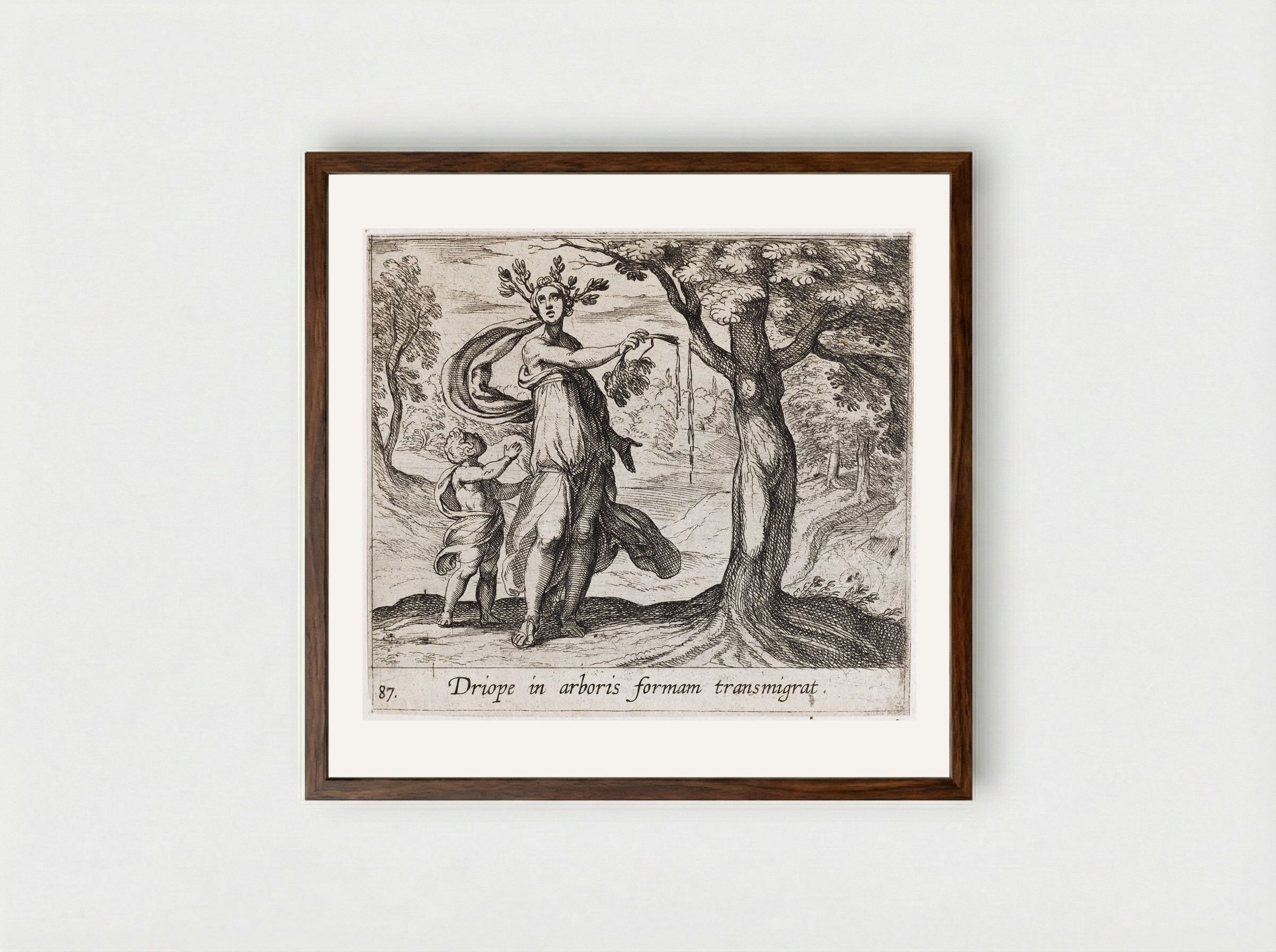 Dryope Changed into a Lotus Tree - Antonio Tempesta - Framed Print Dark Wood
