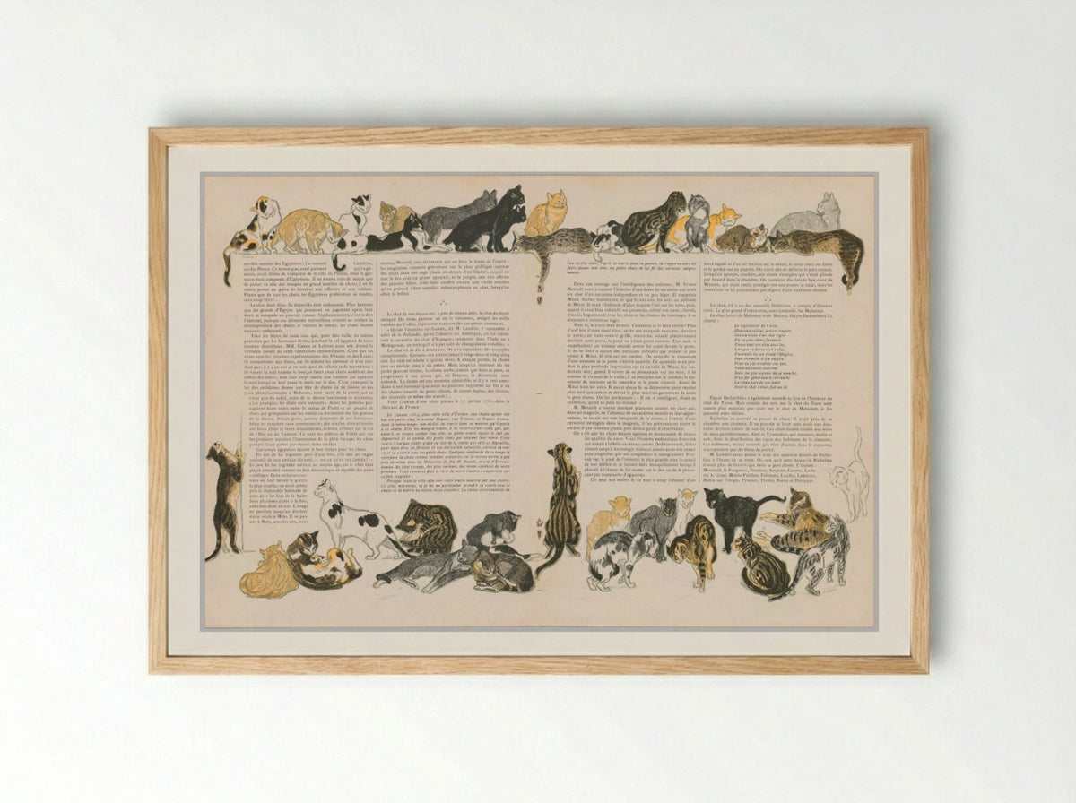 On Cats (Des Chats) - Théophile Alexandre Steinlen - Framed Print Wood