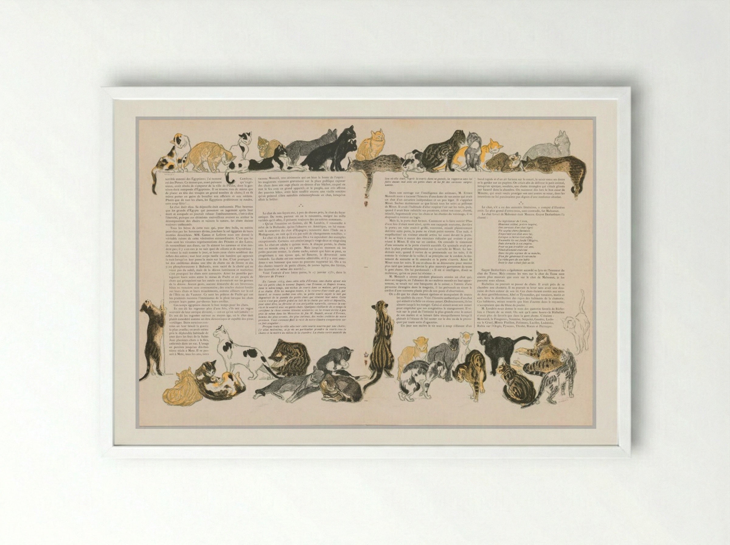 On Cats (Des Chats) - Théophile Alexandre Steinlen - Framed Print White