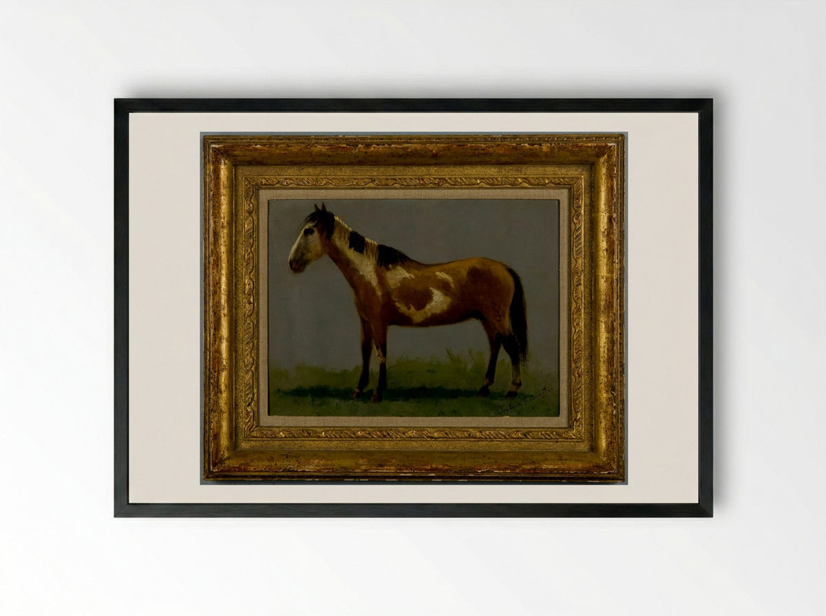 Plains Pony - Frederic Remington - Framed Print Black