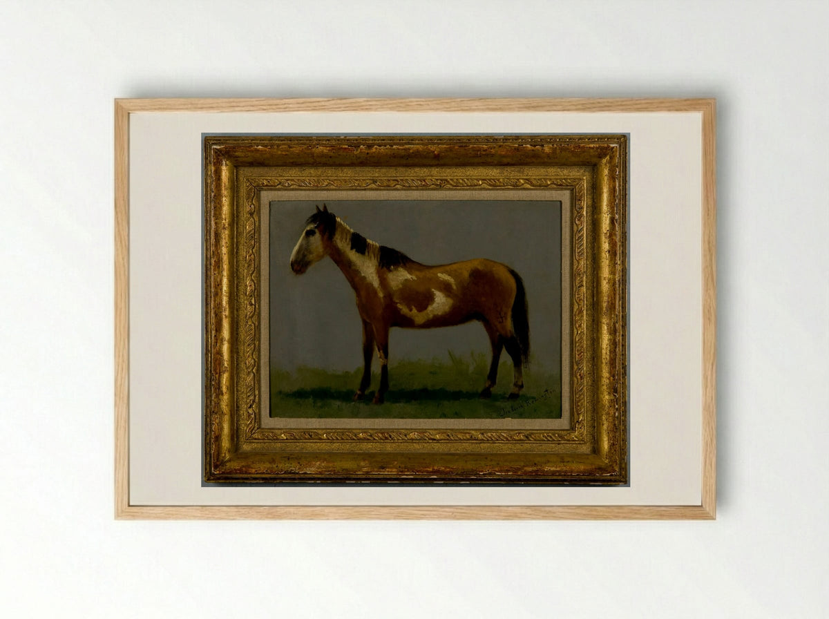 Plains Pony - Frederic Remington - Framed Print Wood