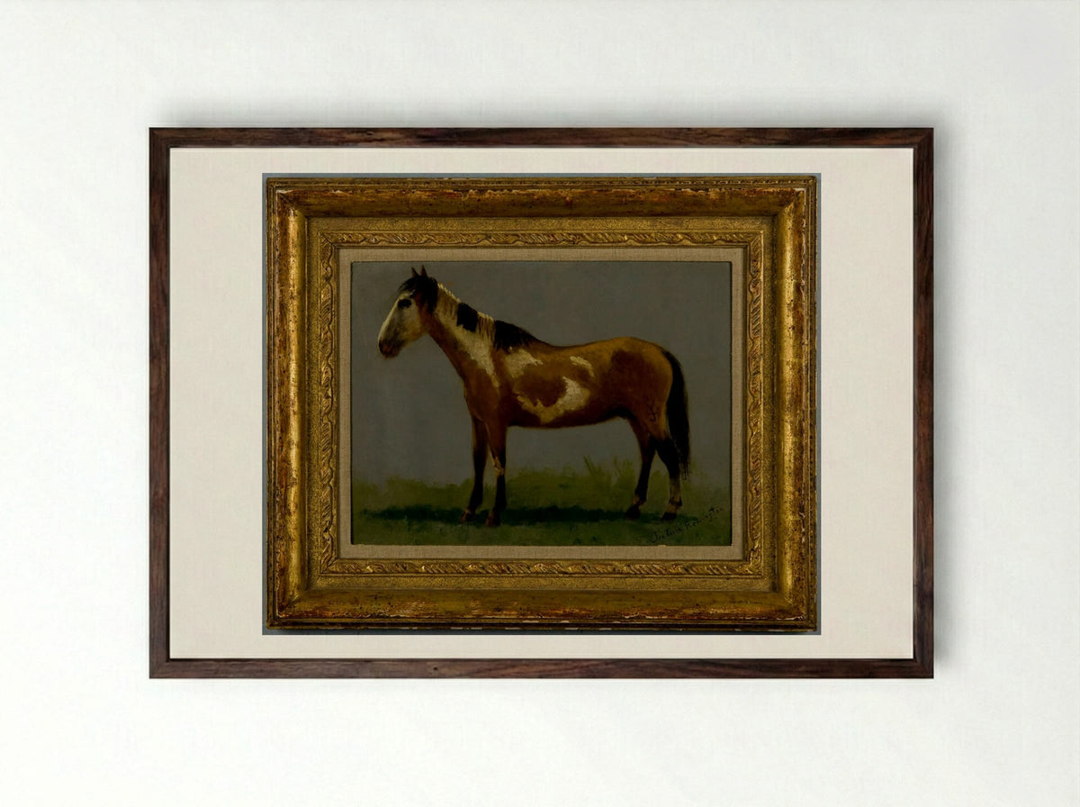 Plains Pony - Frederic Remington - Framed Print Dark Wood