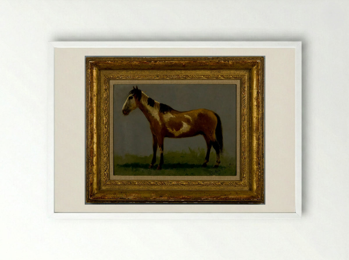 Plains Pony - Frederic Remington - Framed Print White
