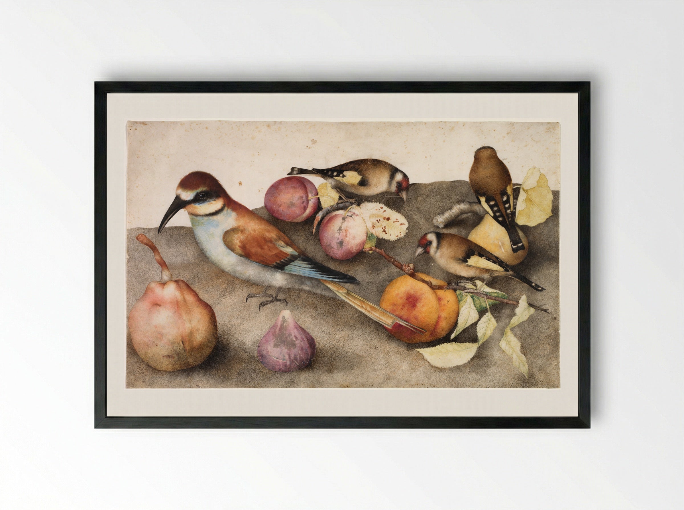 Still Life with Birds and Fruit - Giovanna Garzoni - Framed Print Black