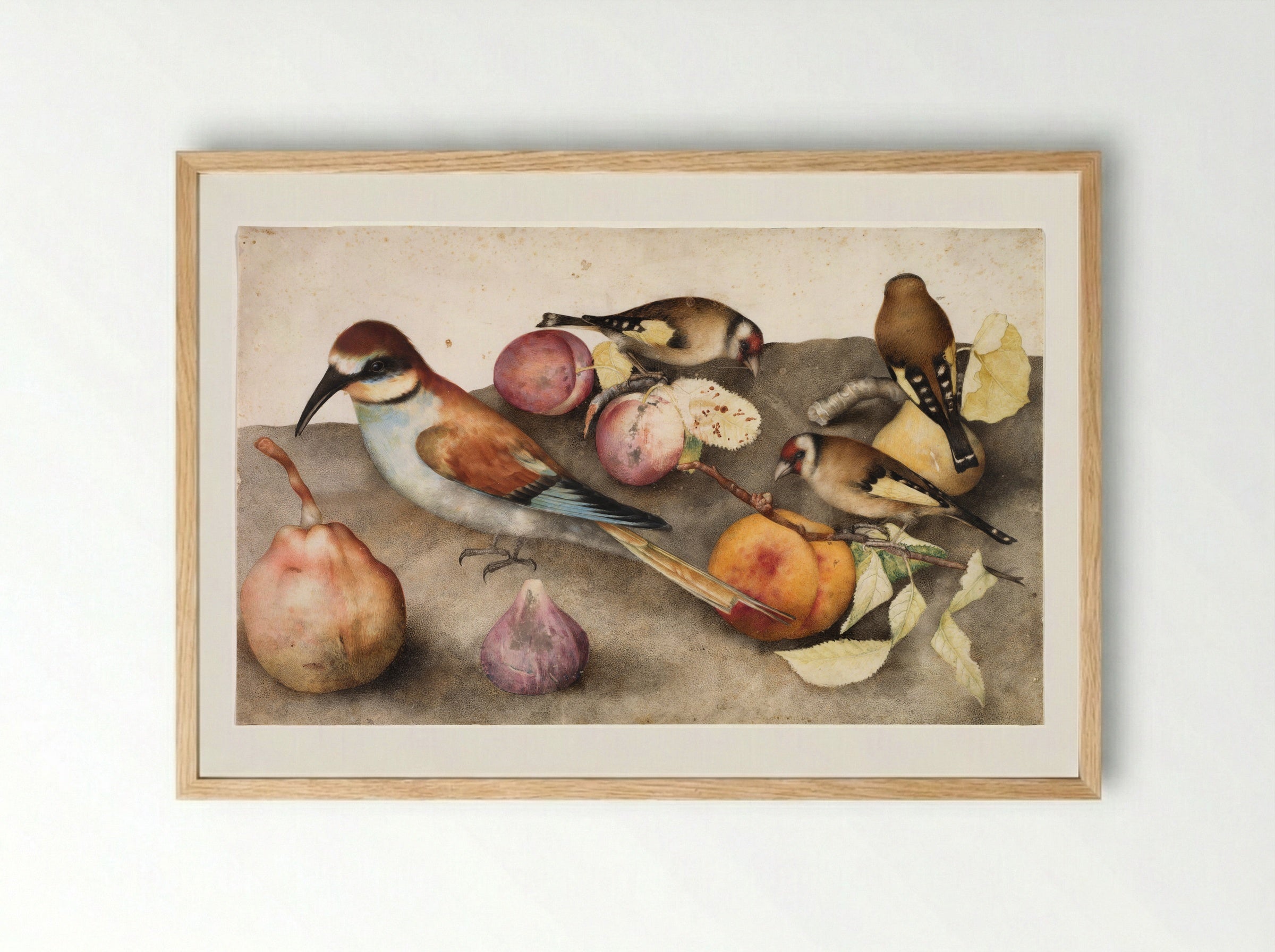 Still Life with Birds and Fruit - Giovanna Garzoni - Framed Print Wood