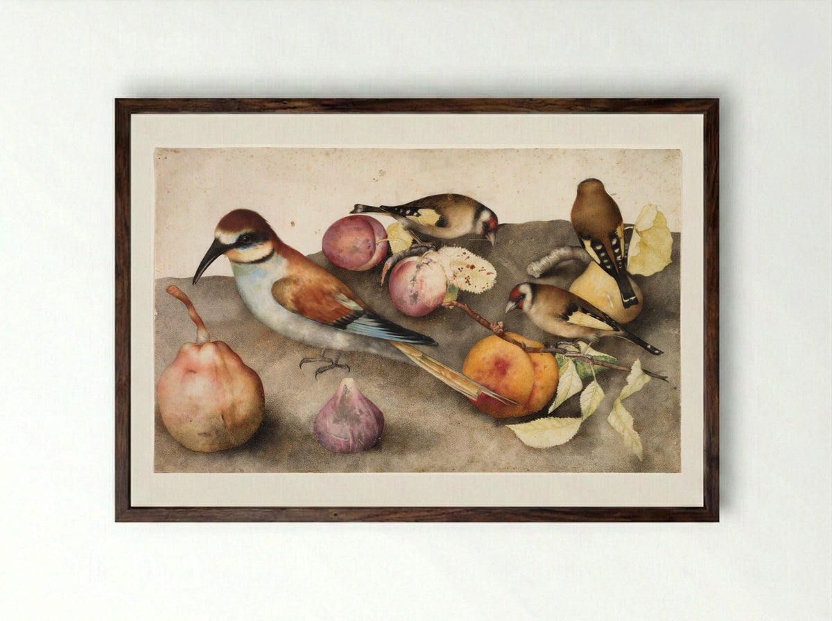 Still Life with Birds and Fruit - Giovanna Garzoni - Framed Print Dark Wood