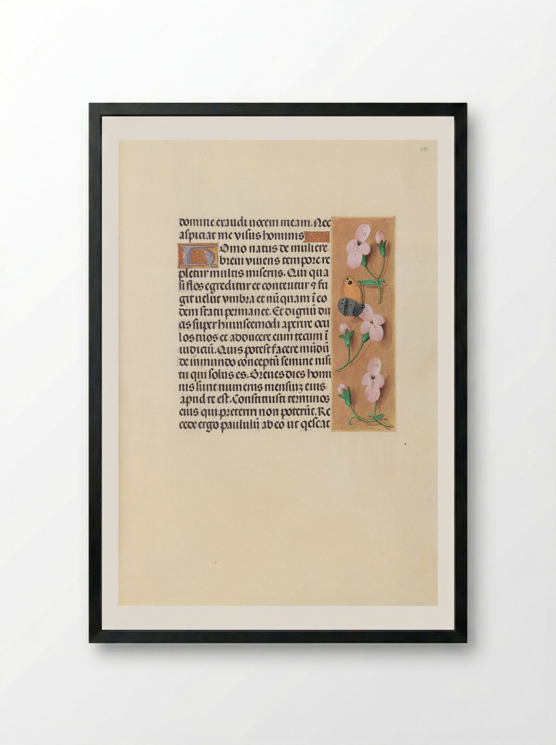 Hours of Queen Isabella the Catholic: Folio 238r - Master of the First Prayerbook of Maximilian - Framed Print Black