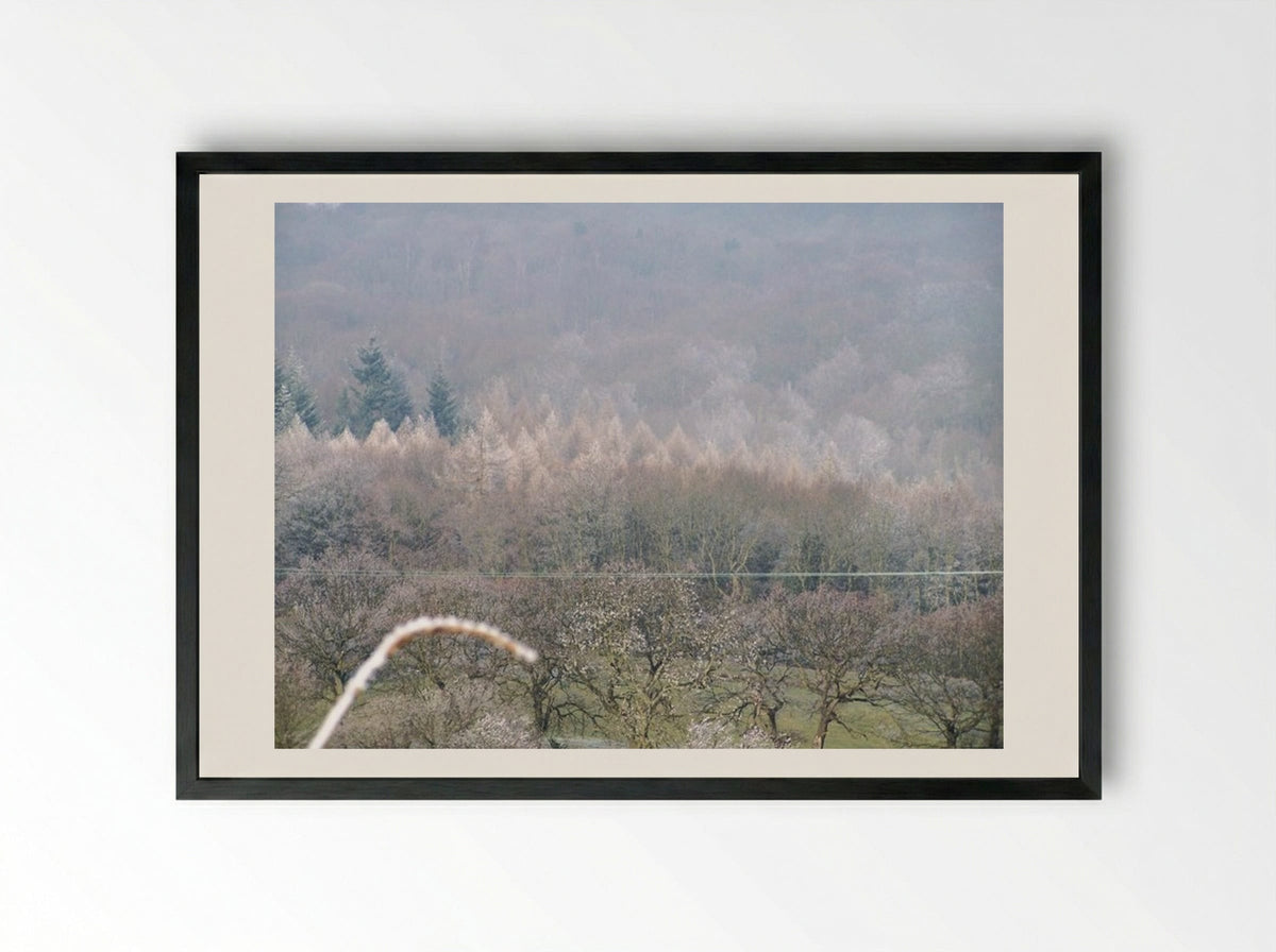 Tree, Tree - Terry Frost - Framed Print Black