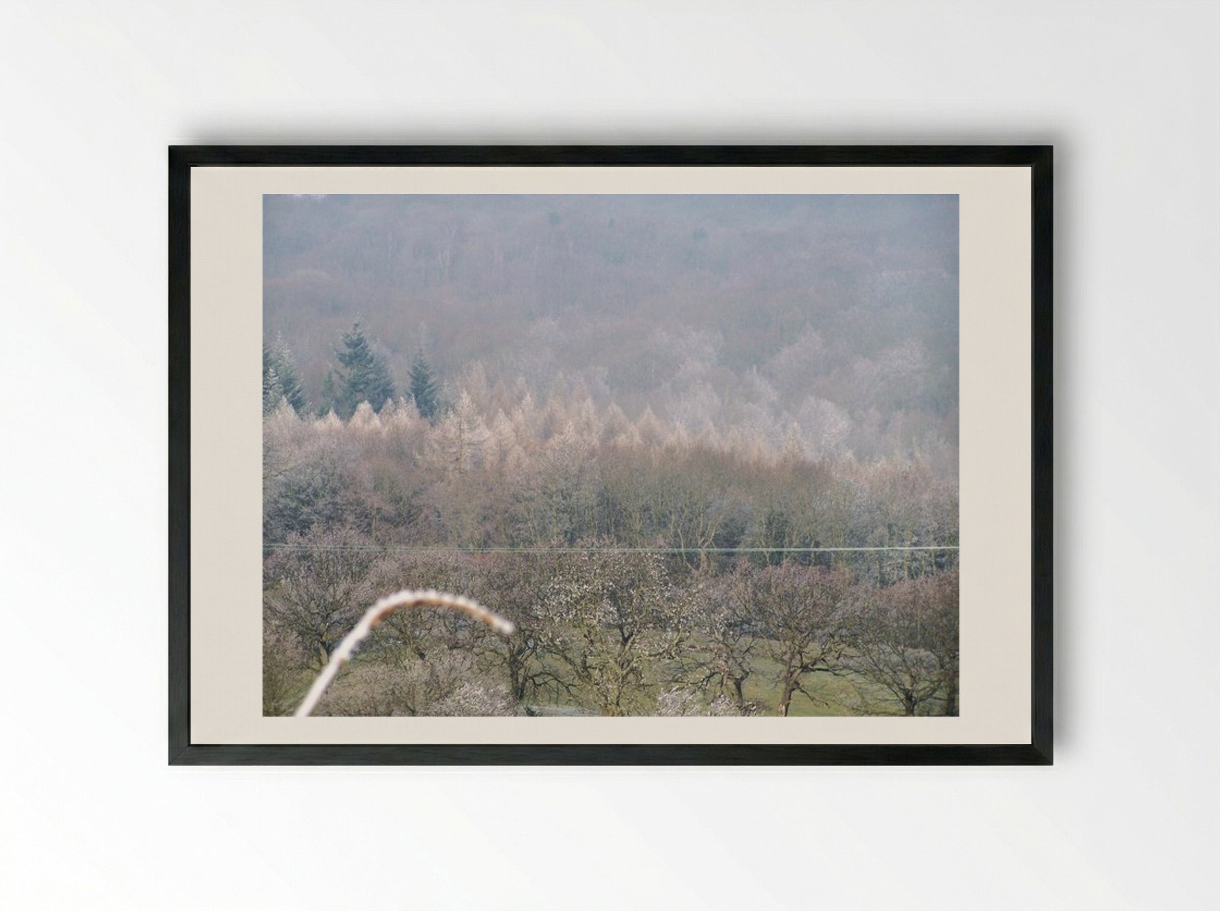 Tree, Tree - Terry Frost - Framed Print Black