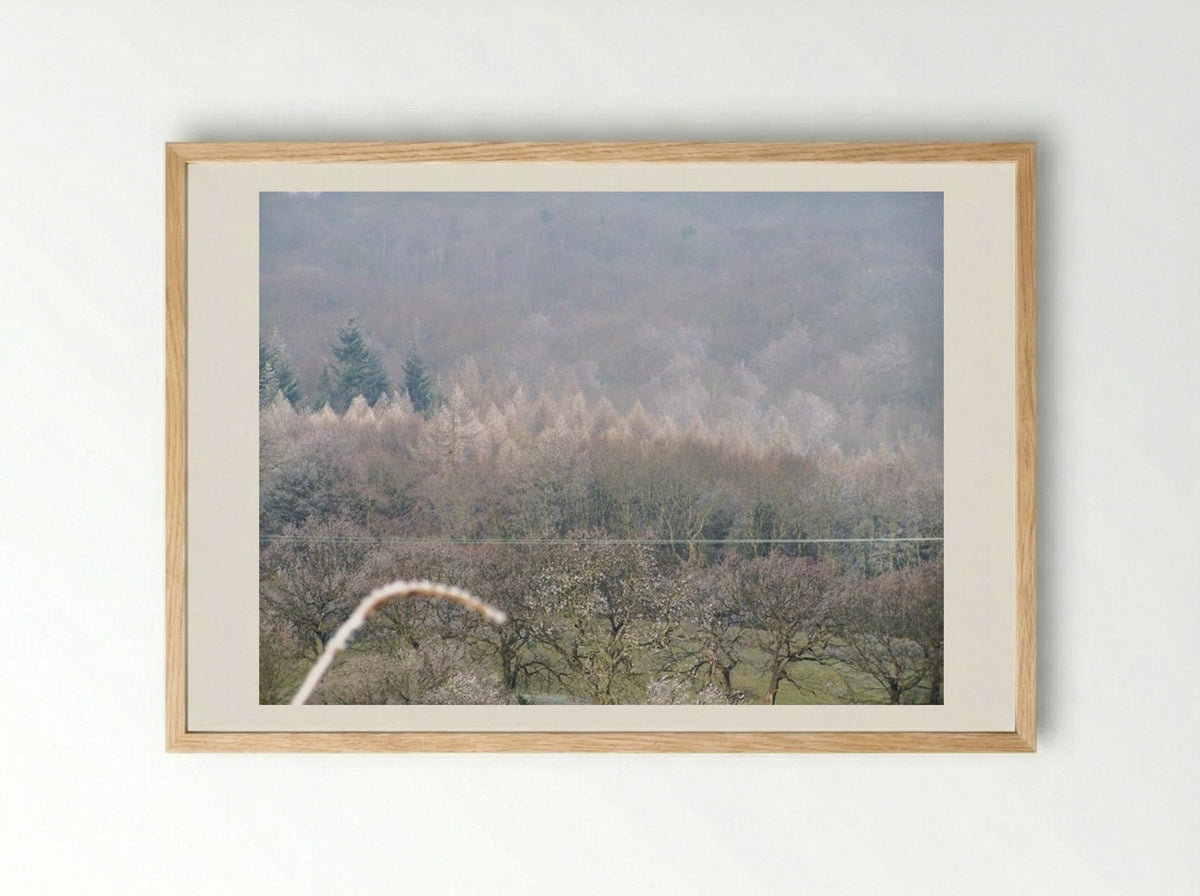 Tree, Tree - Terry Frost - Framed Print Wood