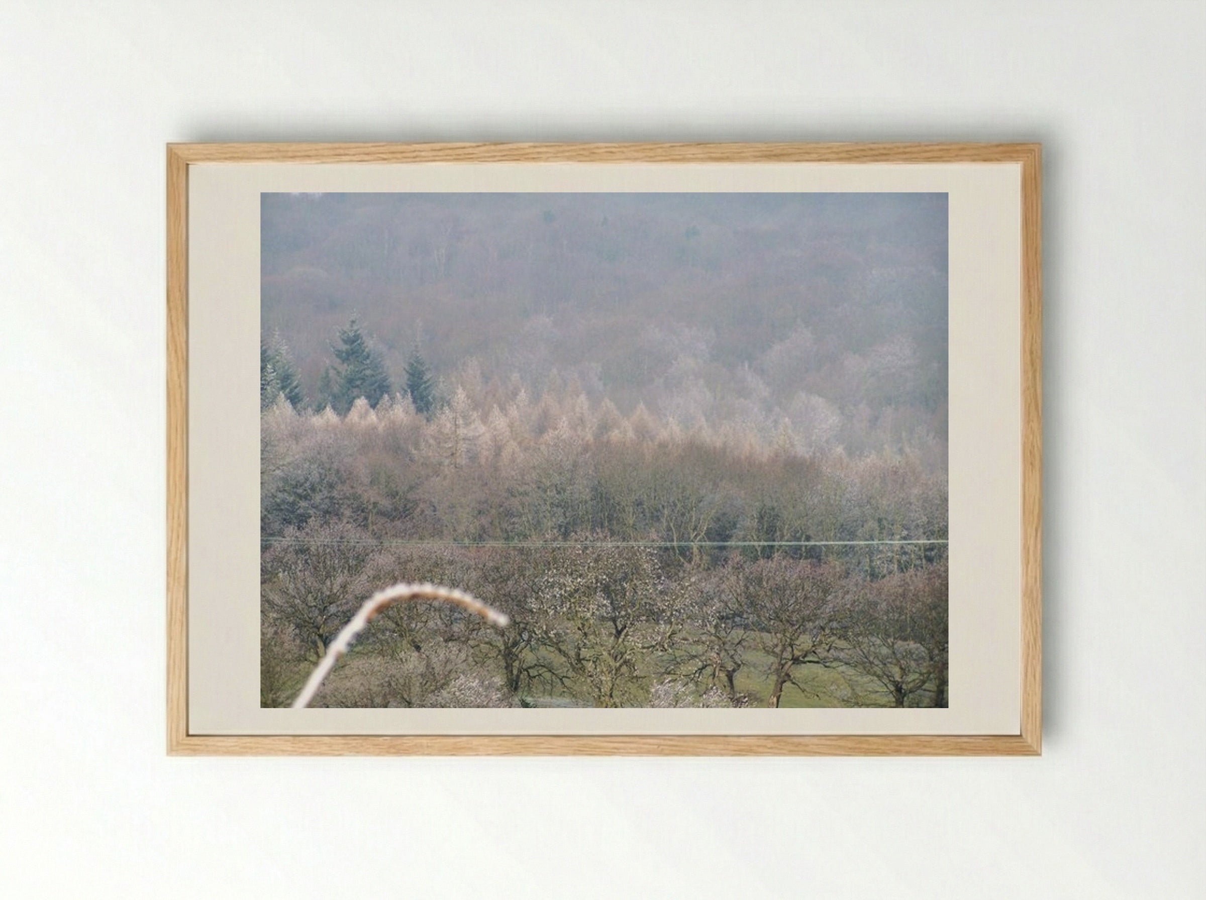 Tree, Tree - Terry Frost - Framed Print Wood