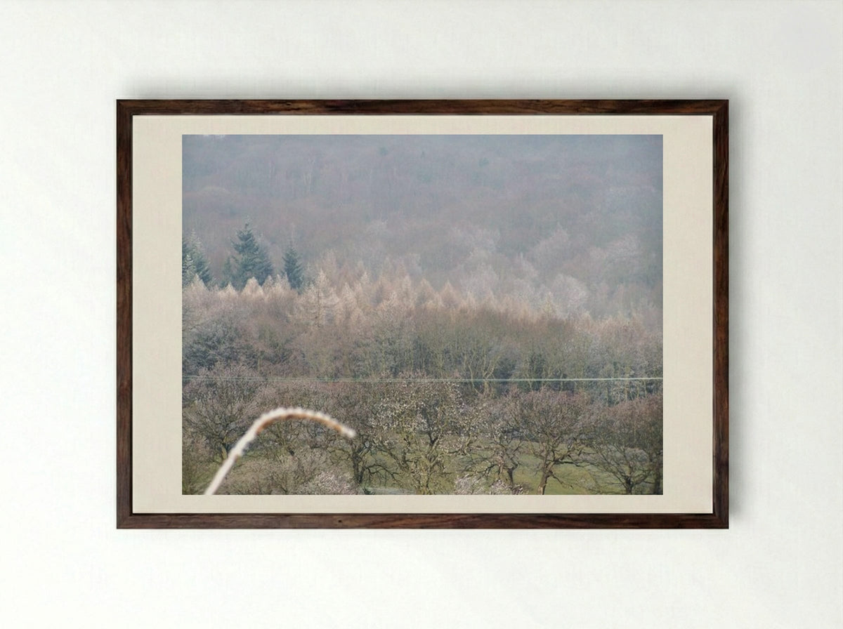 Tree, Tree - Terry Frost - Framed Print Dark Wood