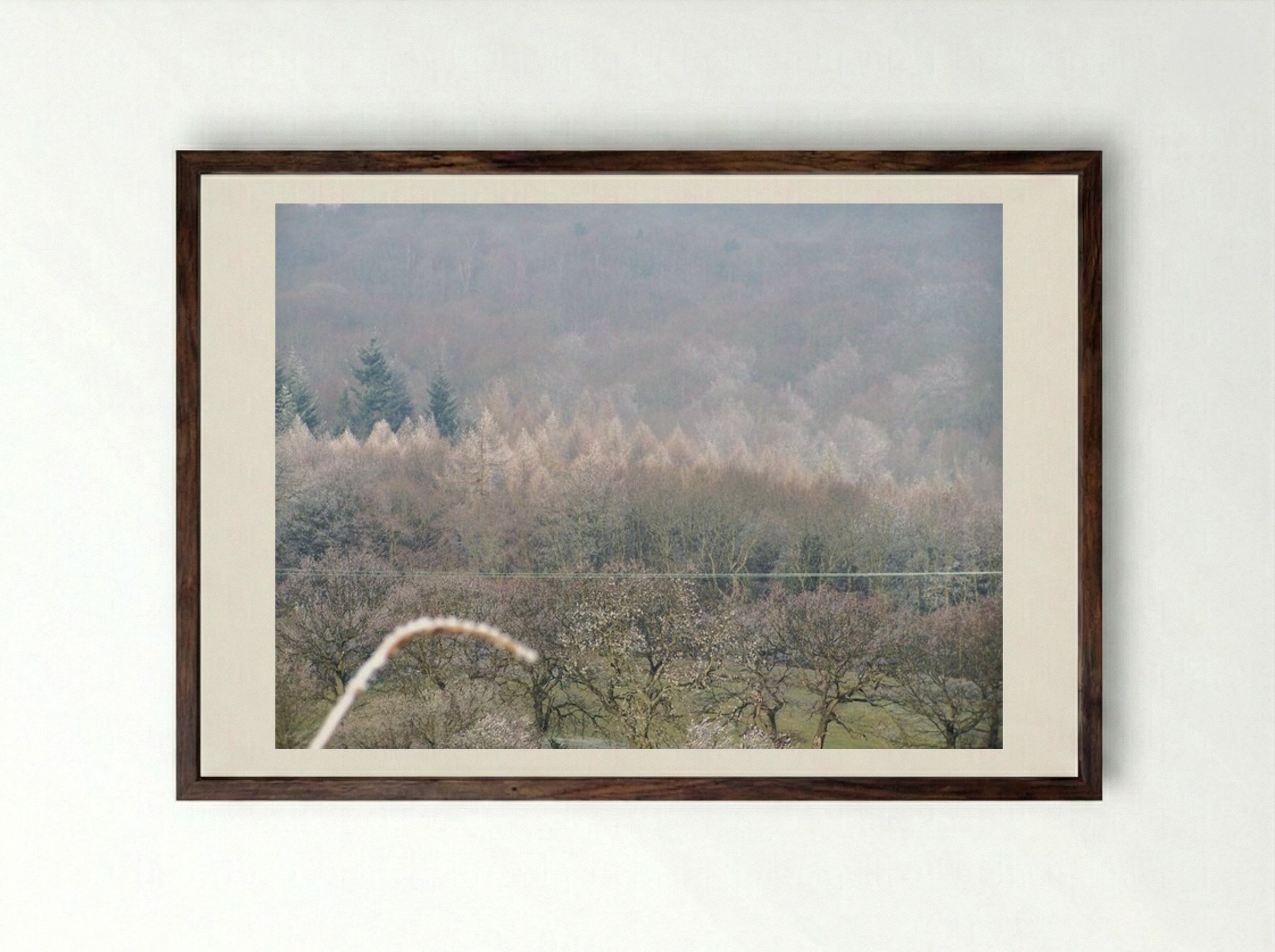 Tree, Tree - Terry Frost - Framed Print Dark Wood