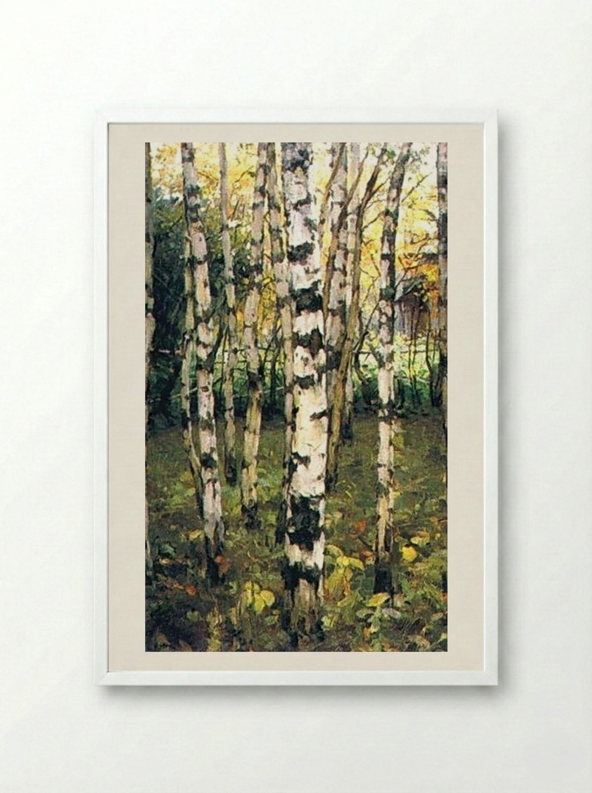 Birches. Petrovskoye - Konstantin Yuon - Framed Print White