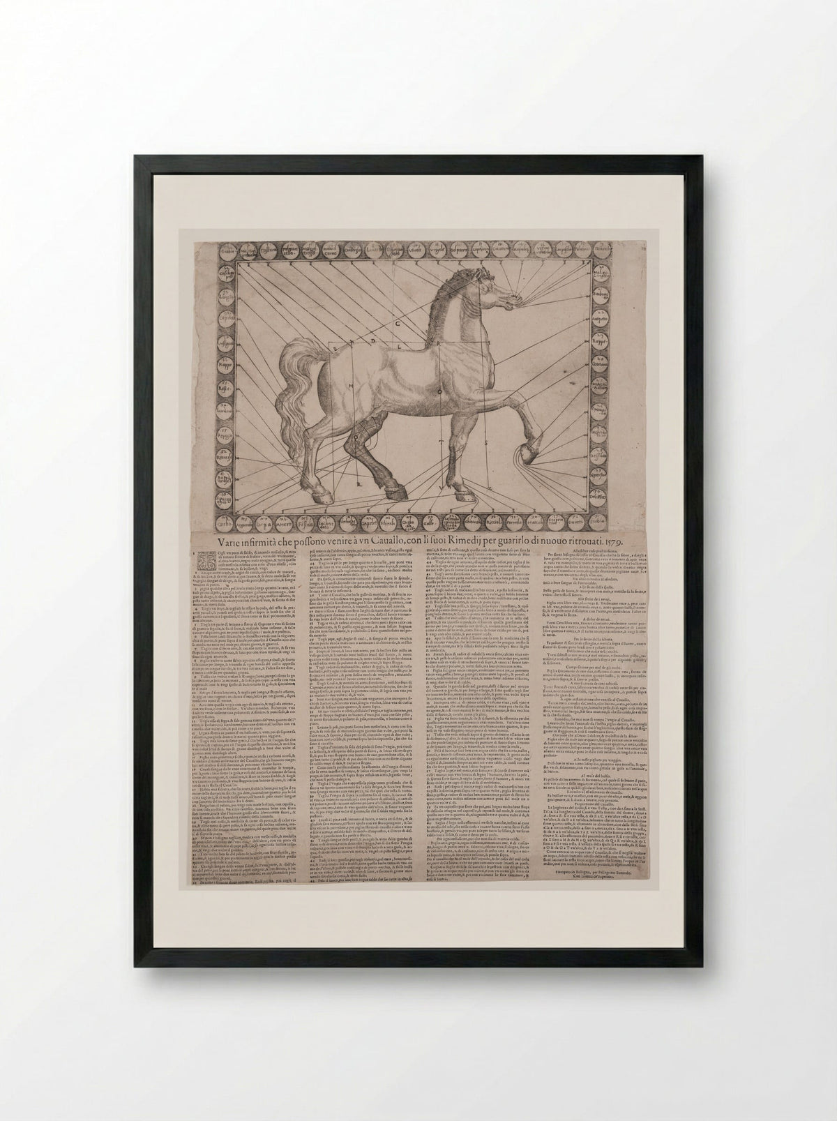 Broadside: Various Infirmities of Horses - Unidentified Artist - Framed Print Black