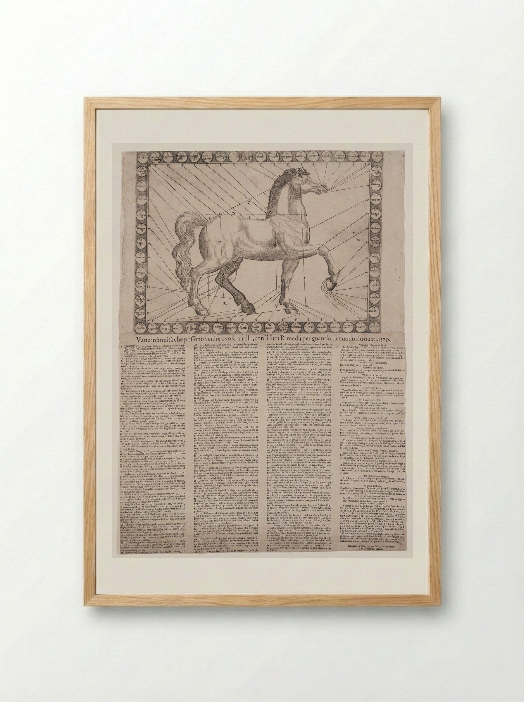 Broadside: Various Infirmities of Horses - Unidentified Artist - Framed Print Wood