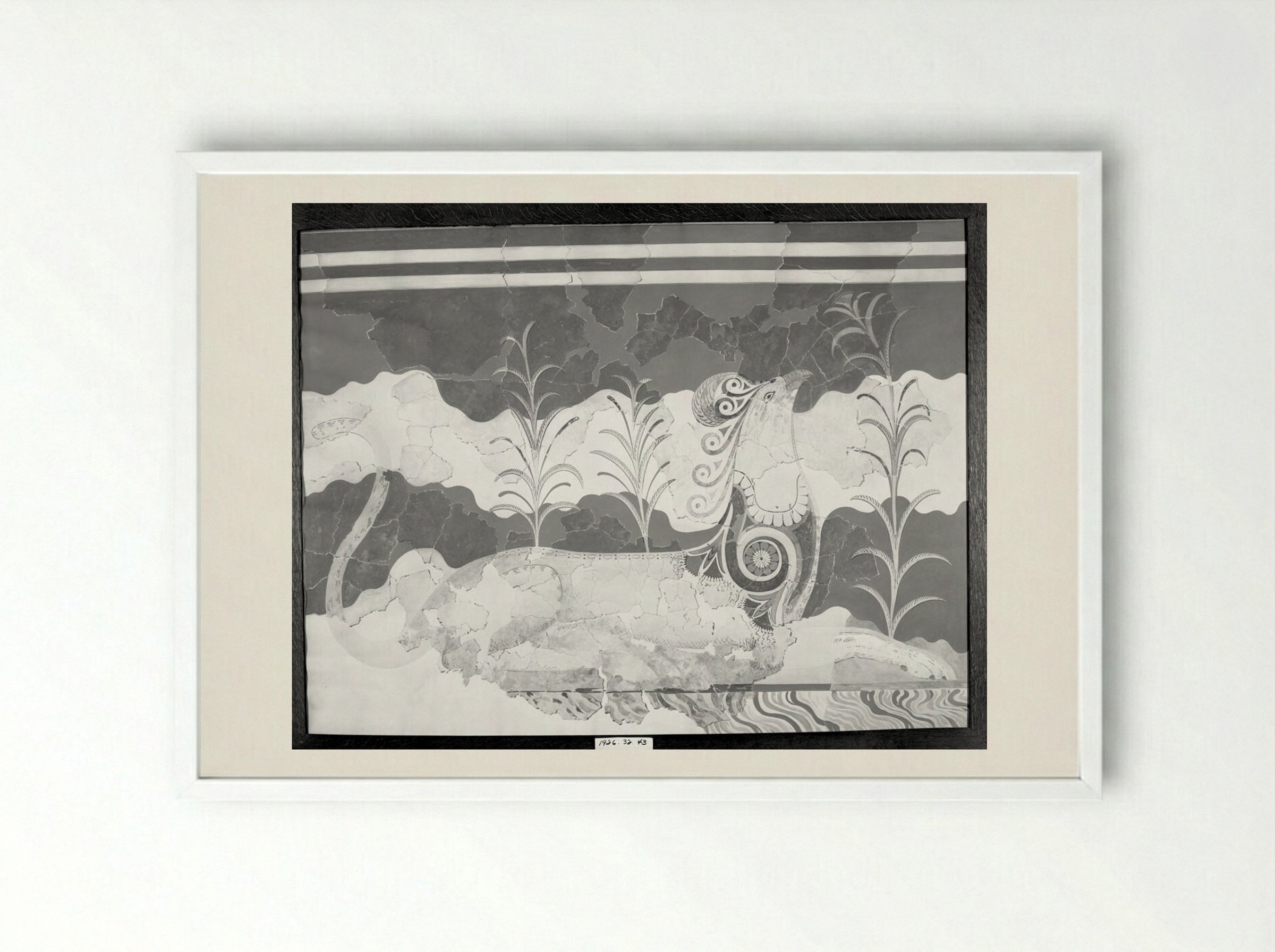 Griffin (after a fresco from the Throne Room in the Palace of Knossos, Crete) - Fine Art Print - Framed Print White