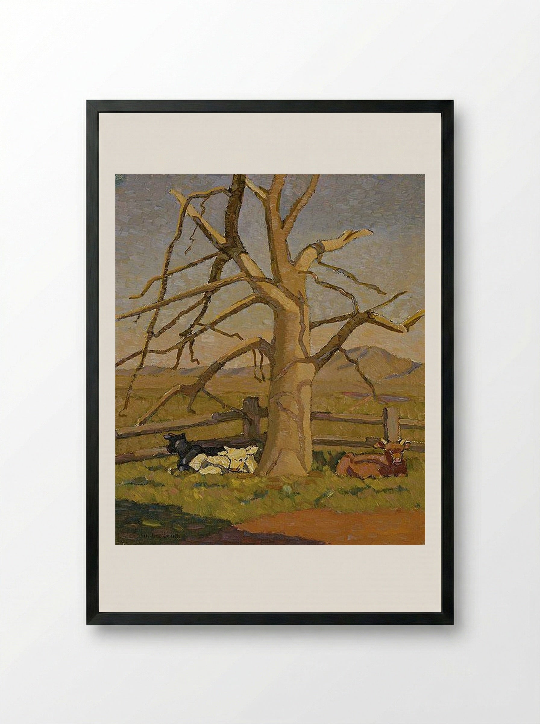 Sunny morning: Cows at Lanyon - Grace Cossington Smith - Framed Print Black