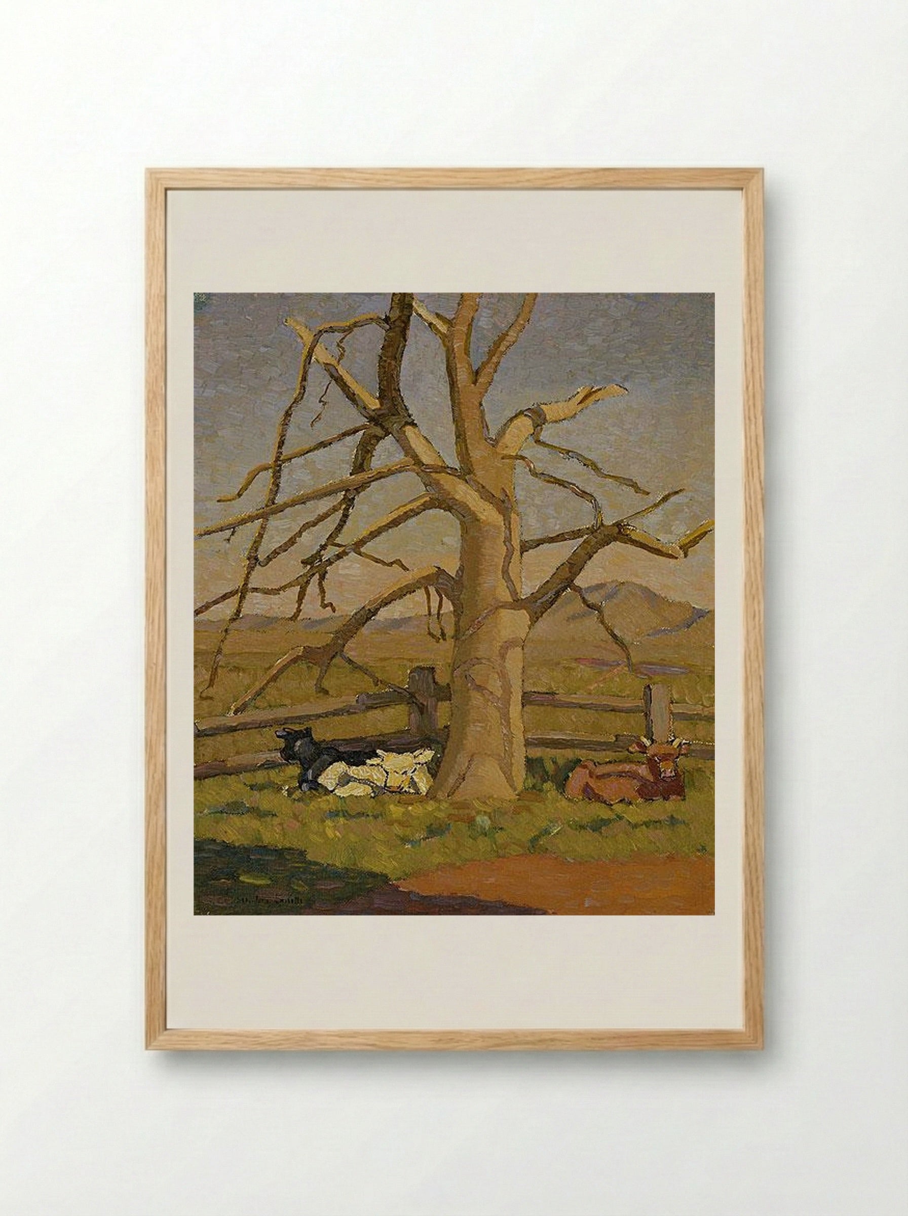 Sunny morning: Cows at Lanyon - Grace Cossington Smith - Framed Print Wood