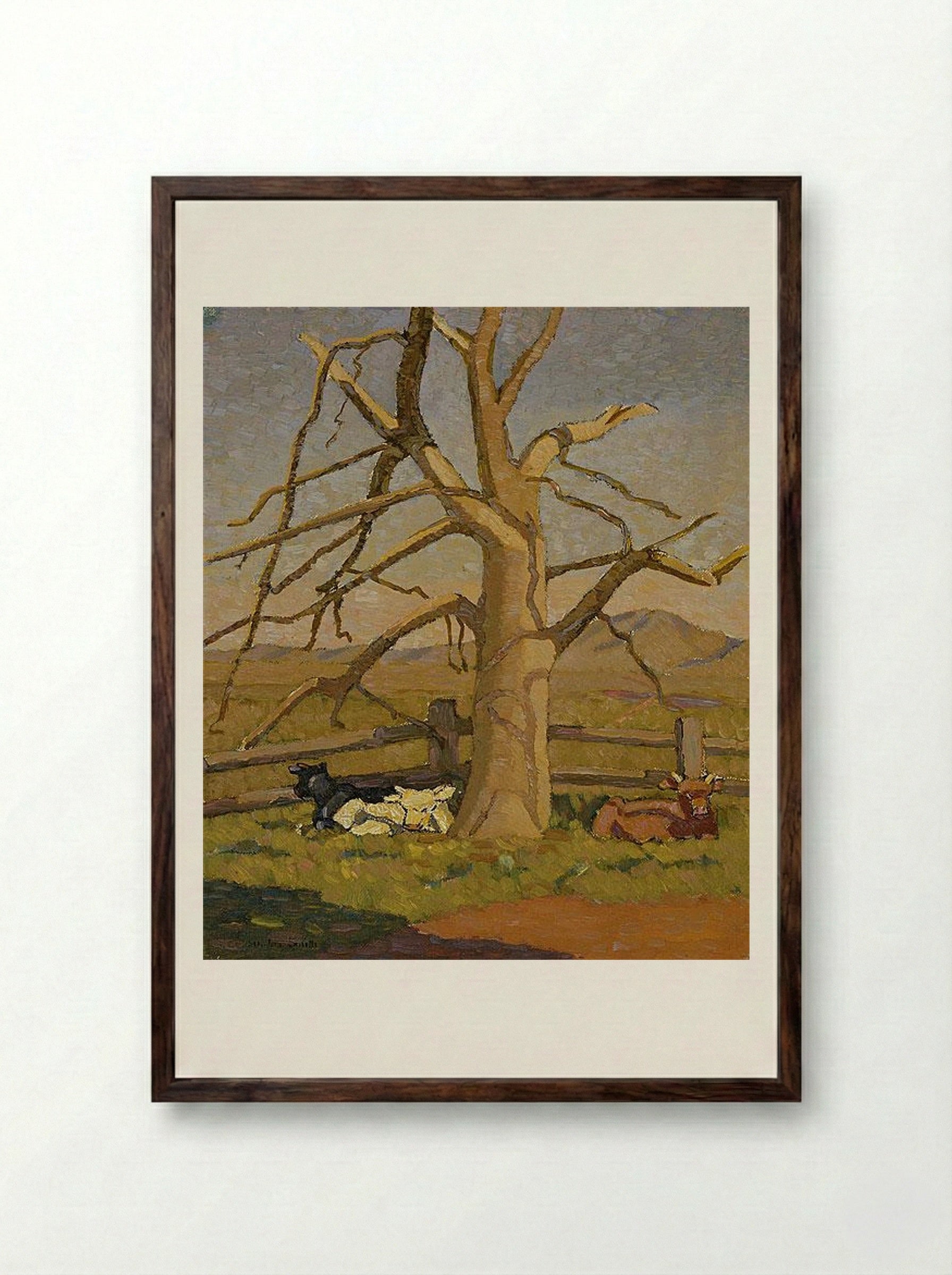 Sunny morning: Cows at Lanyon - Grace Cossington Smith - Framed Print Dark Wood