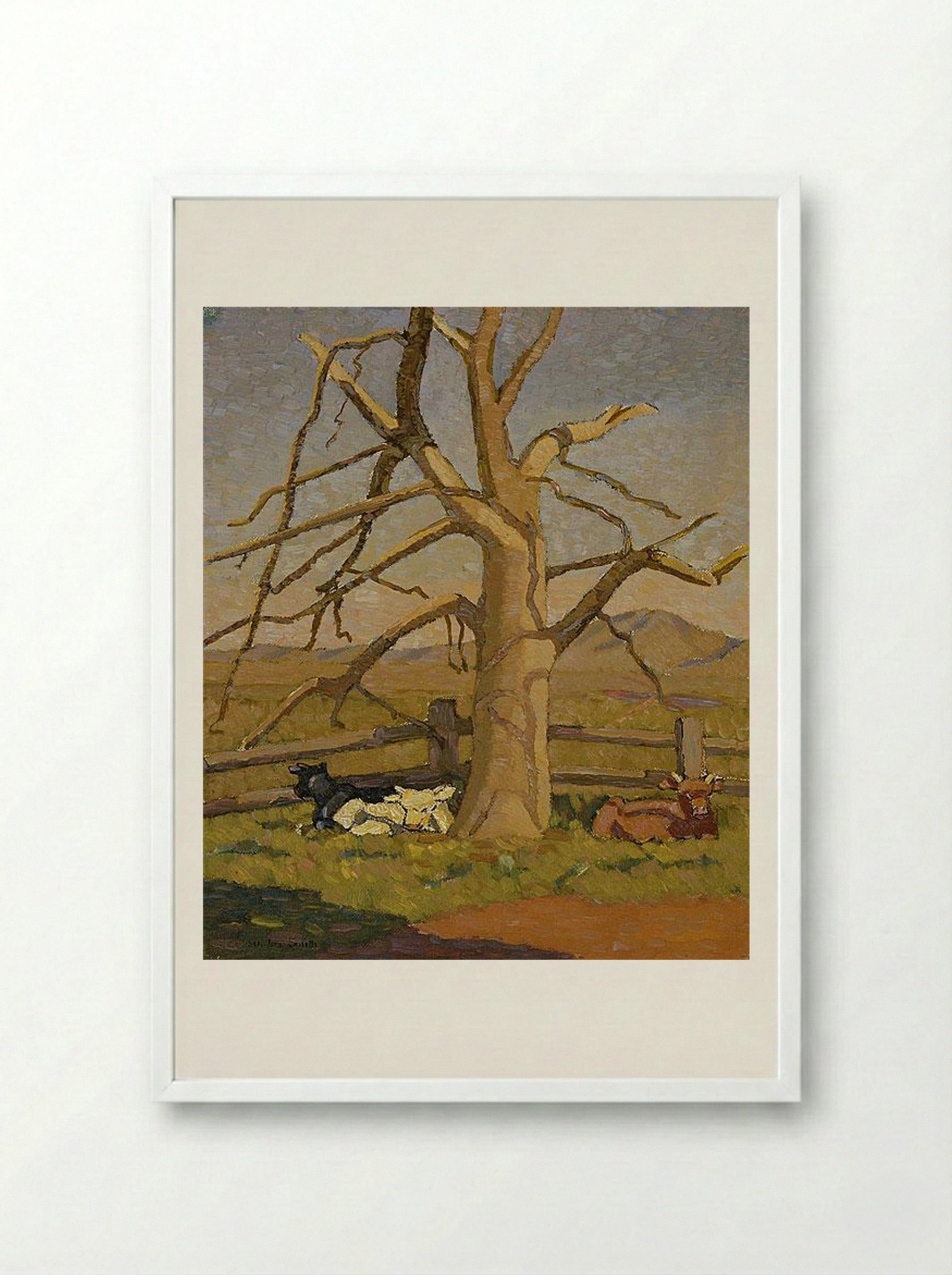 Sunny morning: Cows at Lanyon - Grace Cossington Smith - Framed Print White
