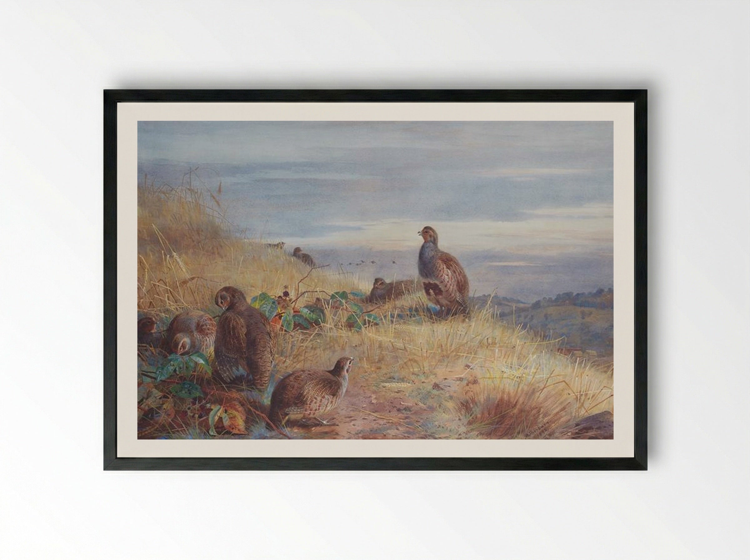 The Covey at Daybreak - Archibald Thorburn - Framed Print Black