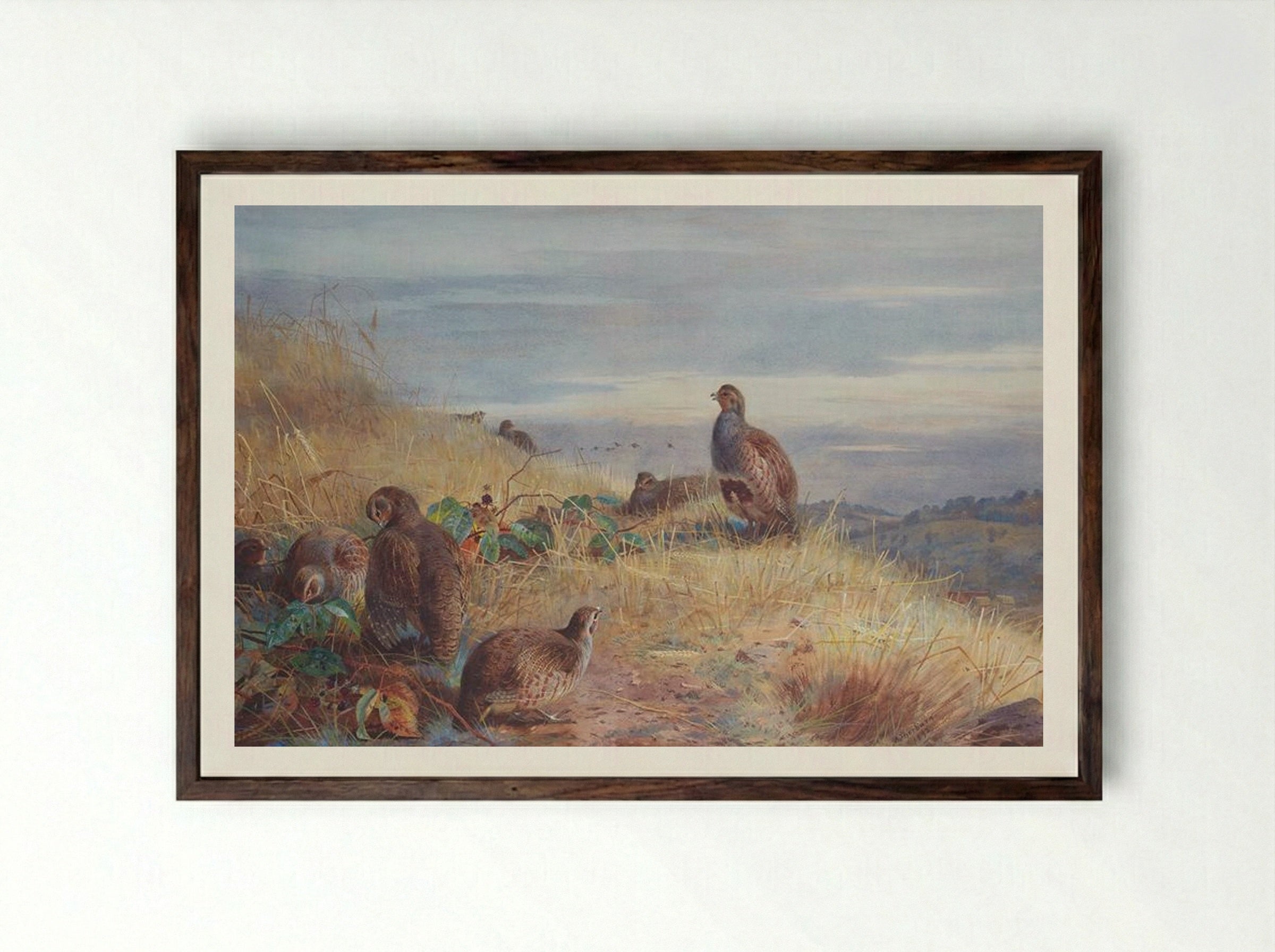 The Covey at Daybreak - Archibald Thorburn - Framed Print Dark Wood