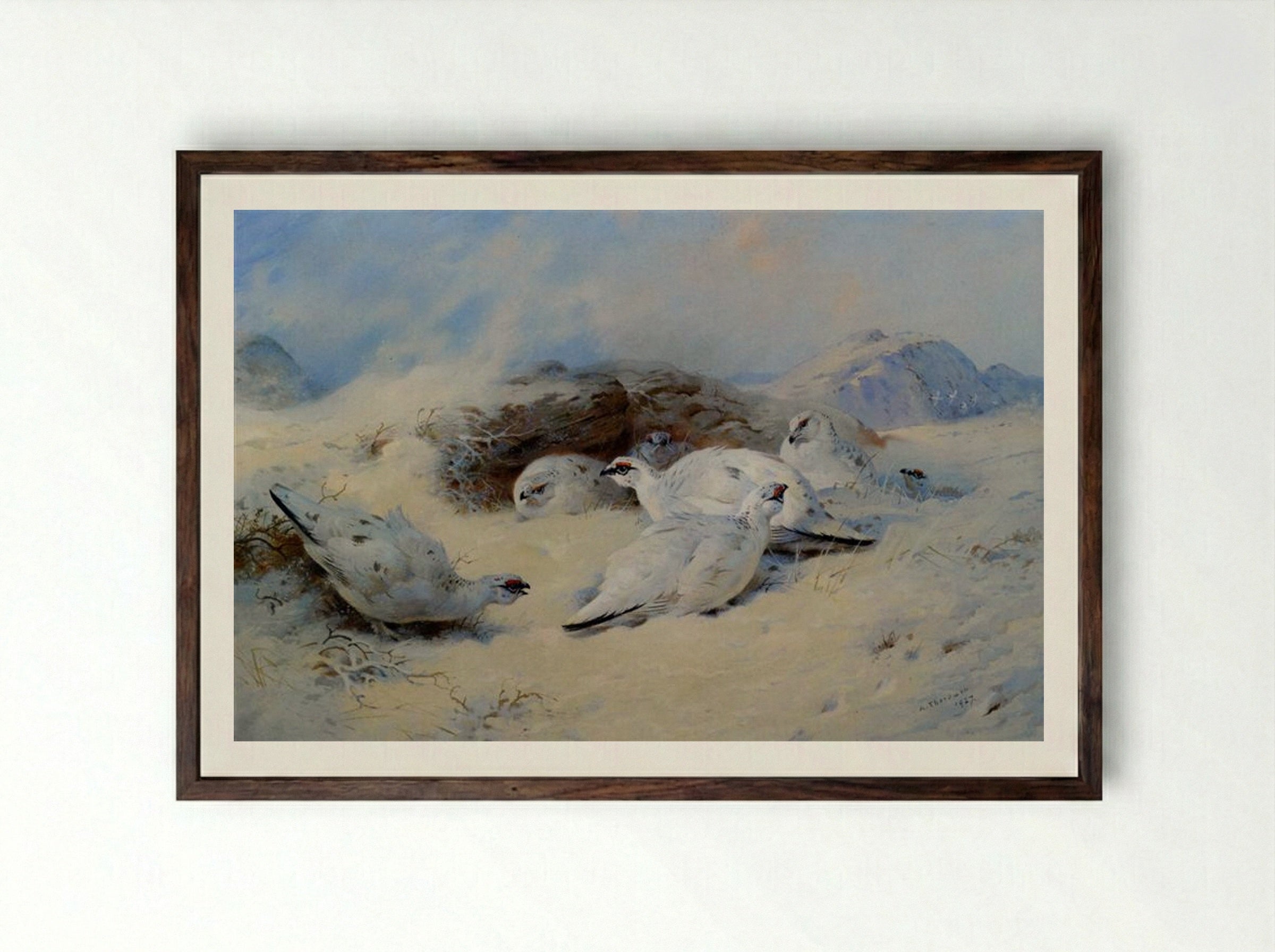 Ptarmigan Seeking Shelter - Archibald Thorburn - Framed Print Dark Wood