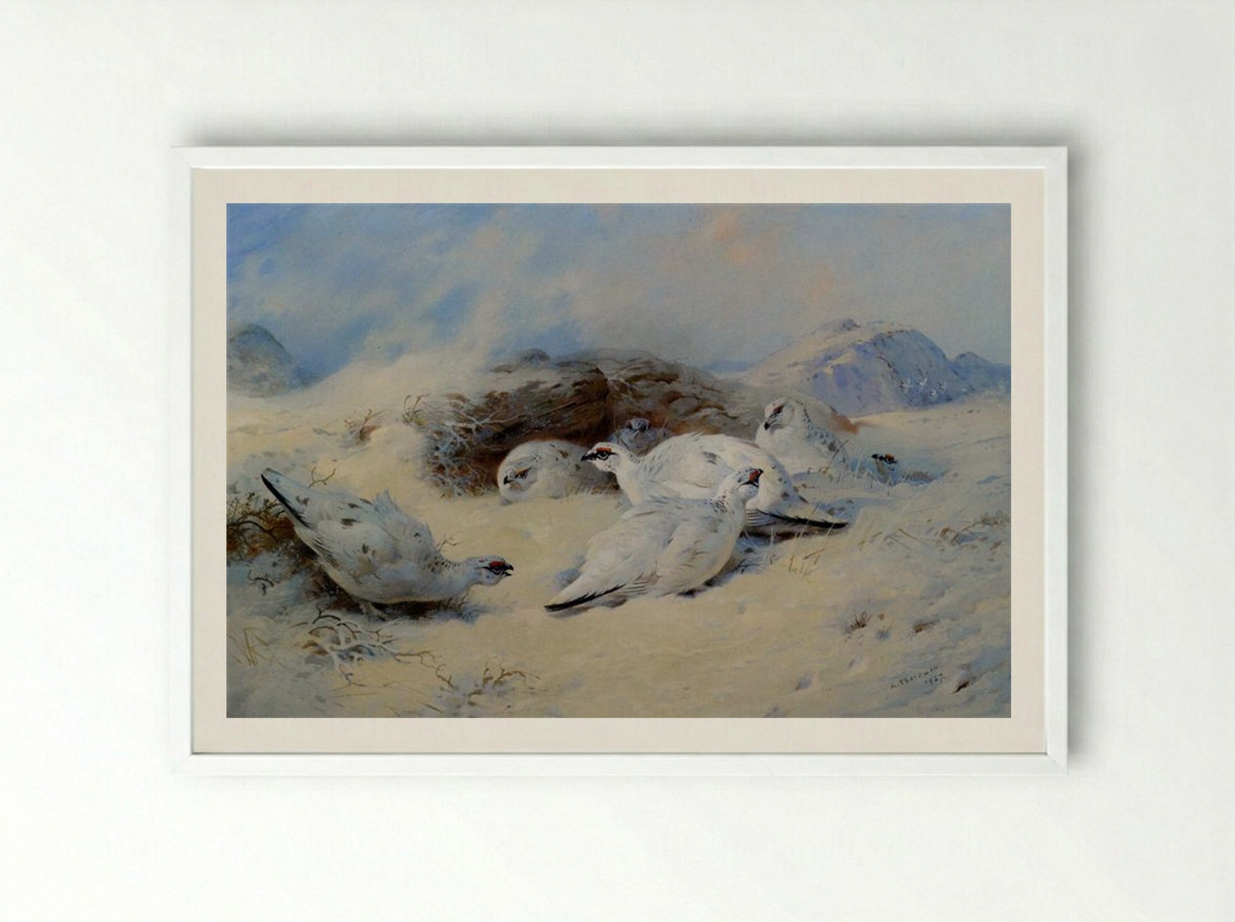 Ptarmigan Seeking Shelter - Archibald Thorburn - Framed Print White