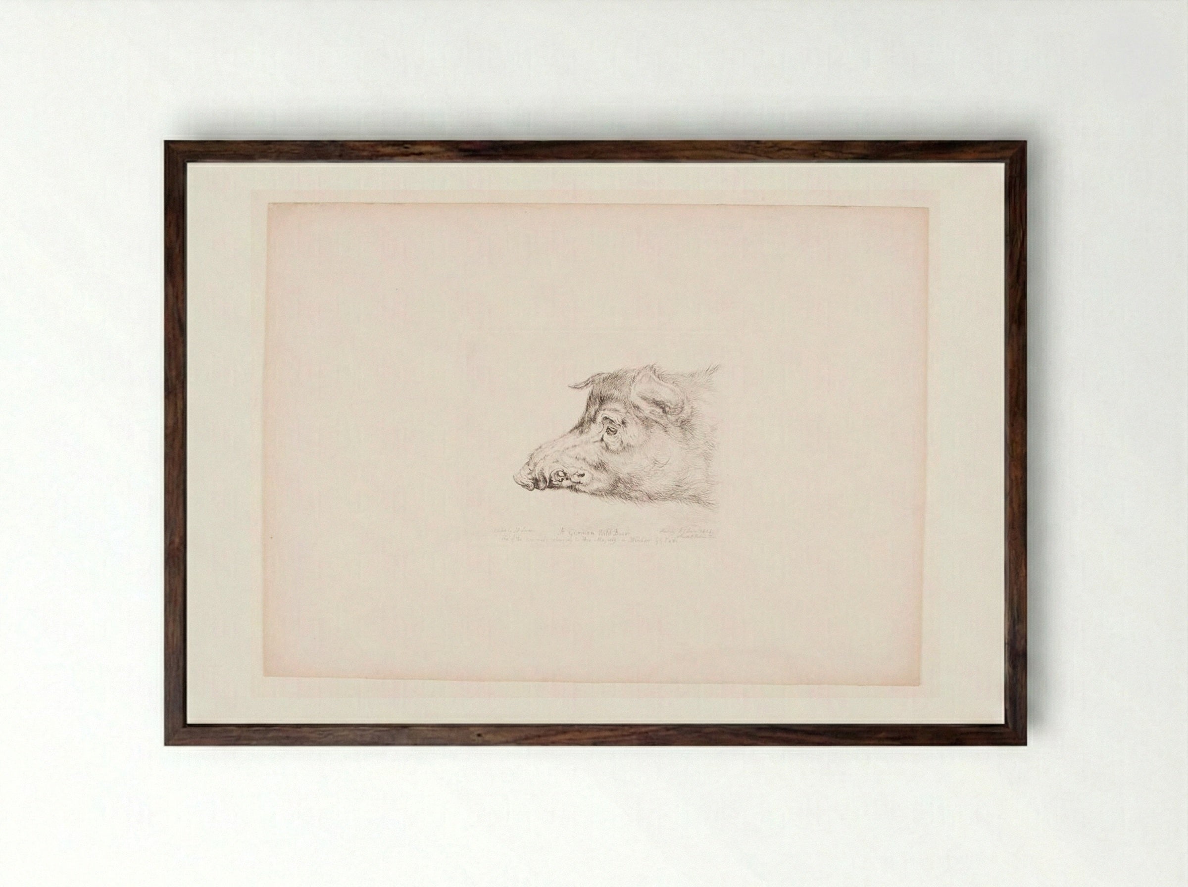 A German Wild Boar - John Frederick Lewis - Framed Print Dark Wood