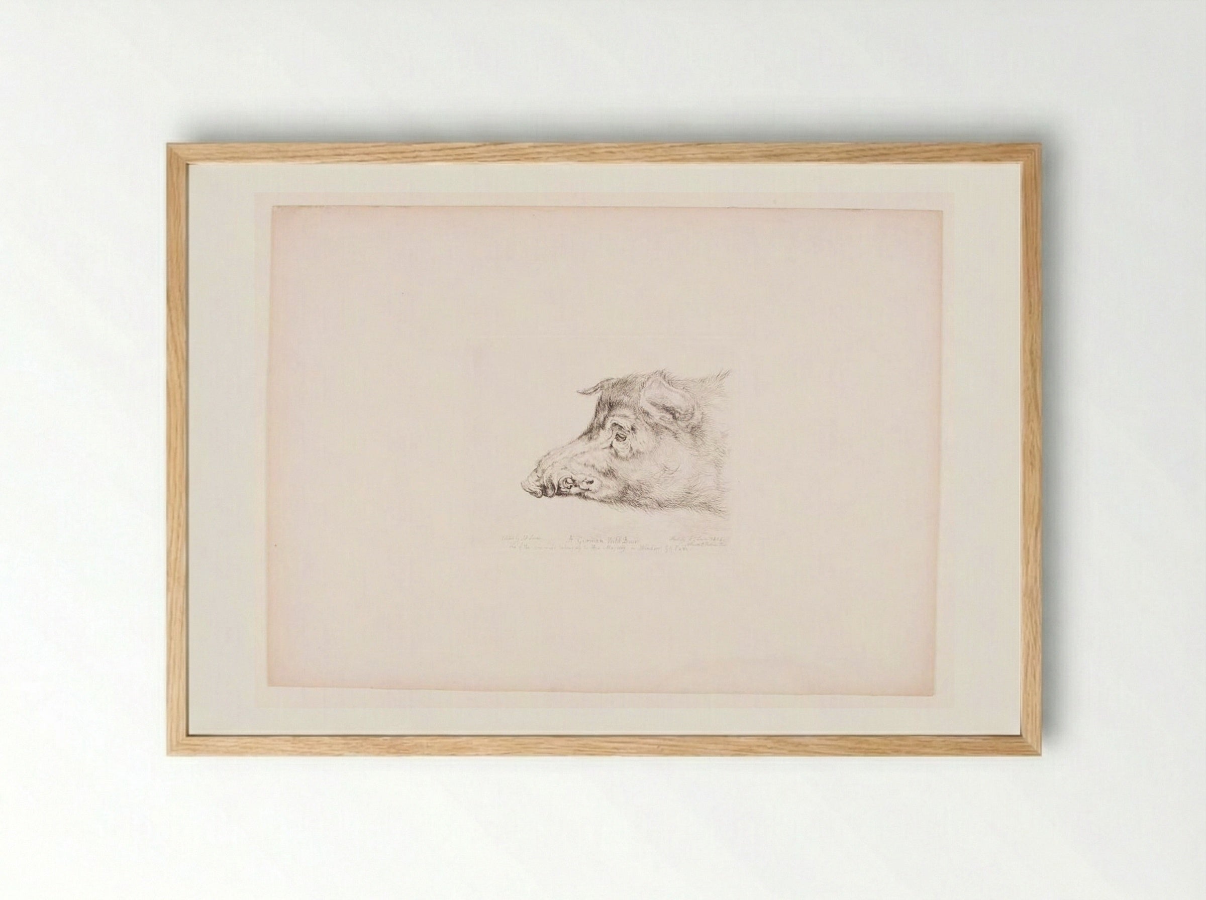 A German Wild Boar - John Frederick Lewis - Framed Print Wood