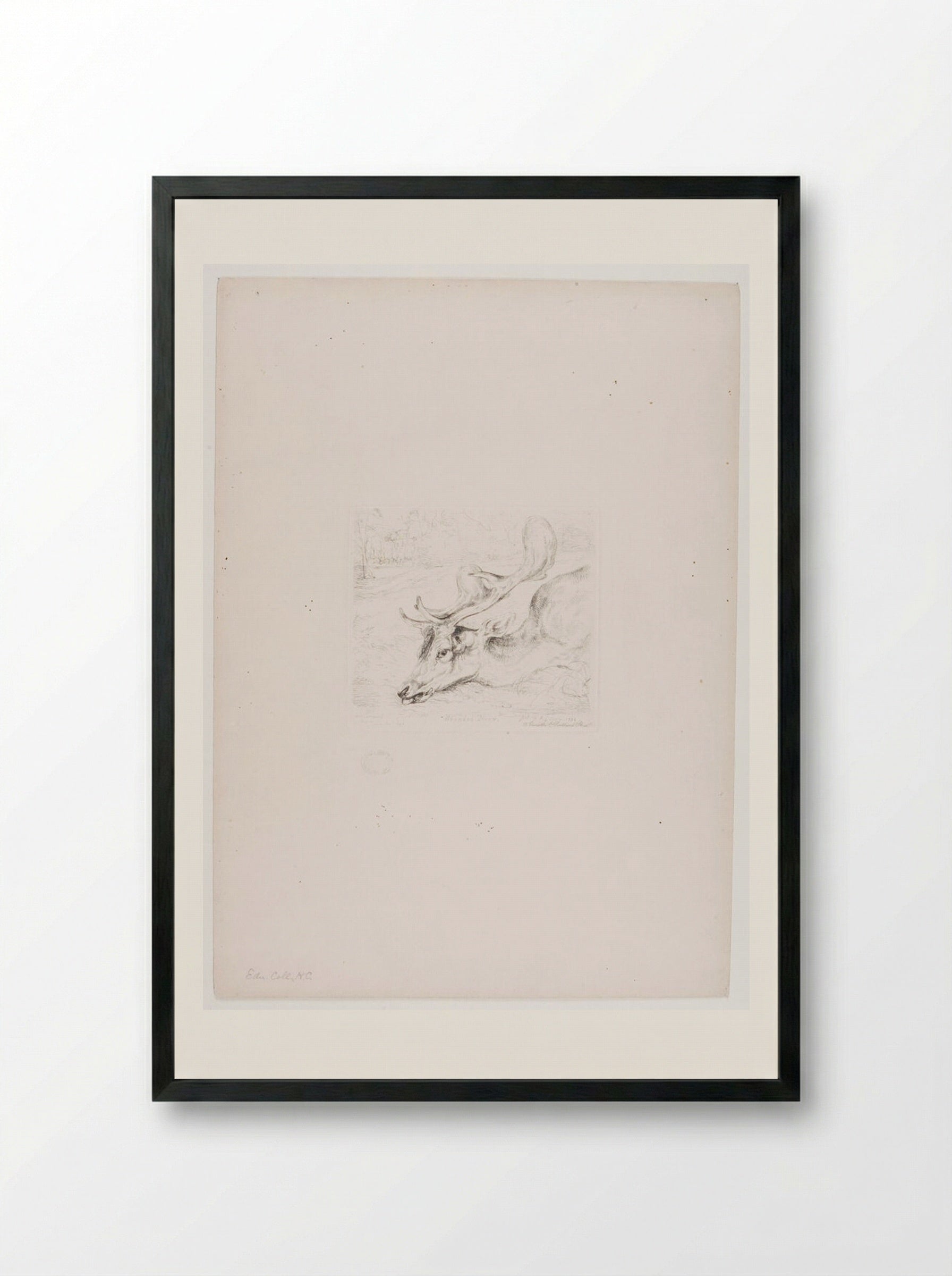 Wounded Deer - John Frederick Lewis - Framed Print Black