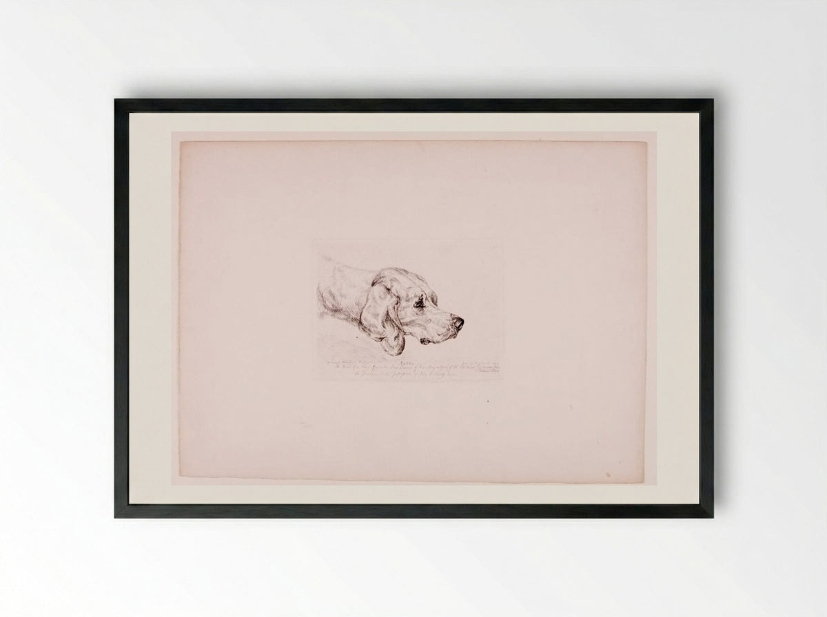 Rattler - John Frederick Lewis - Framed Print Black