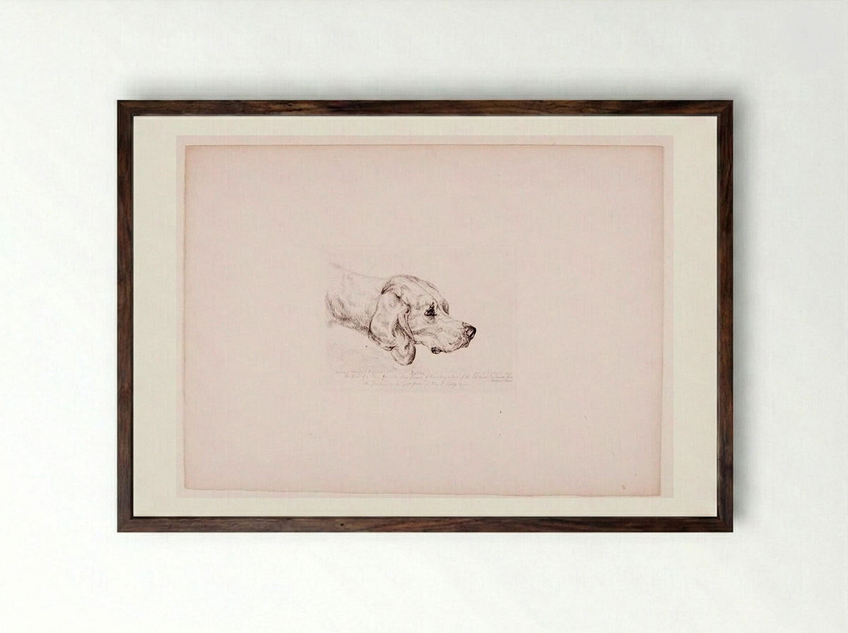 Rattler - John Frederick Lewis - Framed Print Dark Wood