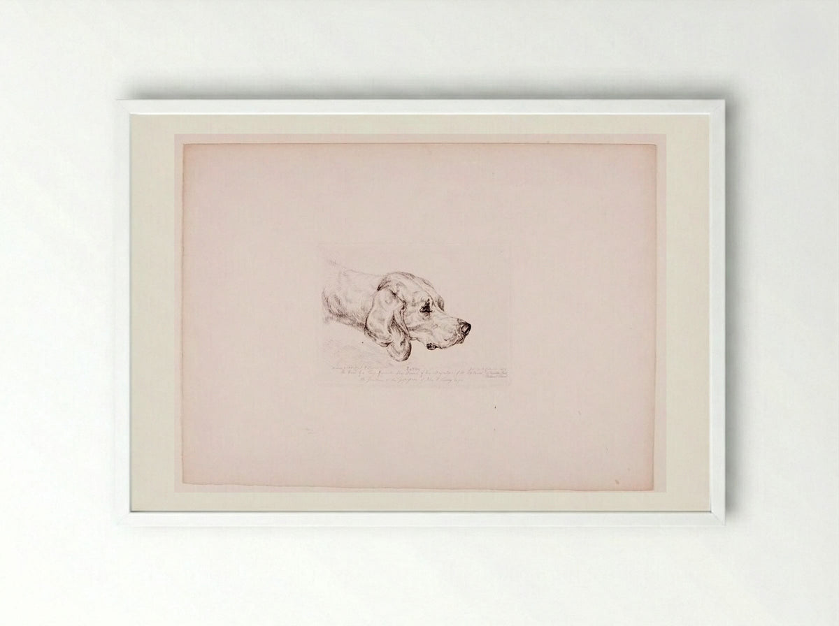 Rattler - John Frederick Lewis - Framed Print White