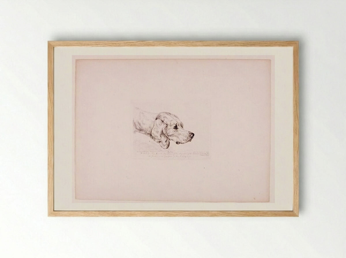 Rattler - John Frederick Lewis - Framed Print Wood