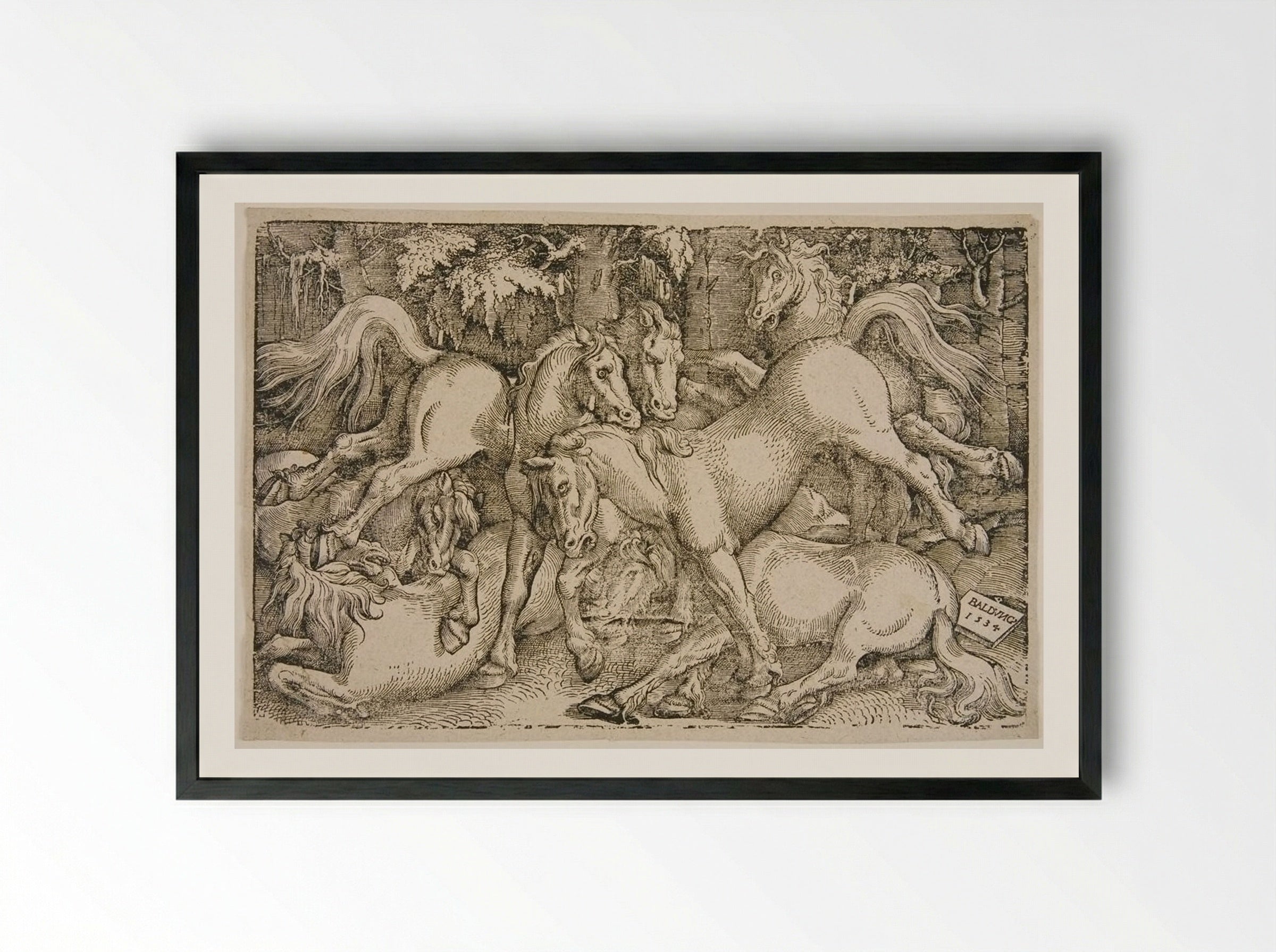 Fighting Wild Horses in a Wood - Hans Baldung Grien - Framed Print Black