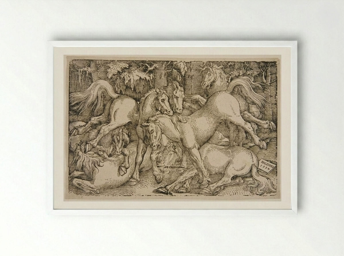 Fighting Wild Horses in a Wood - Hans Baldung Grien - Framed Print White