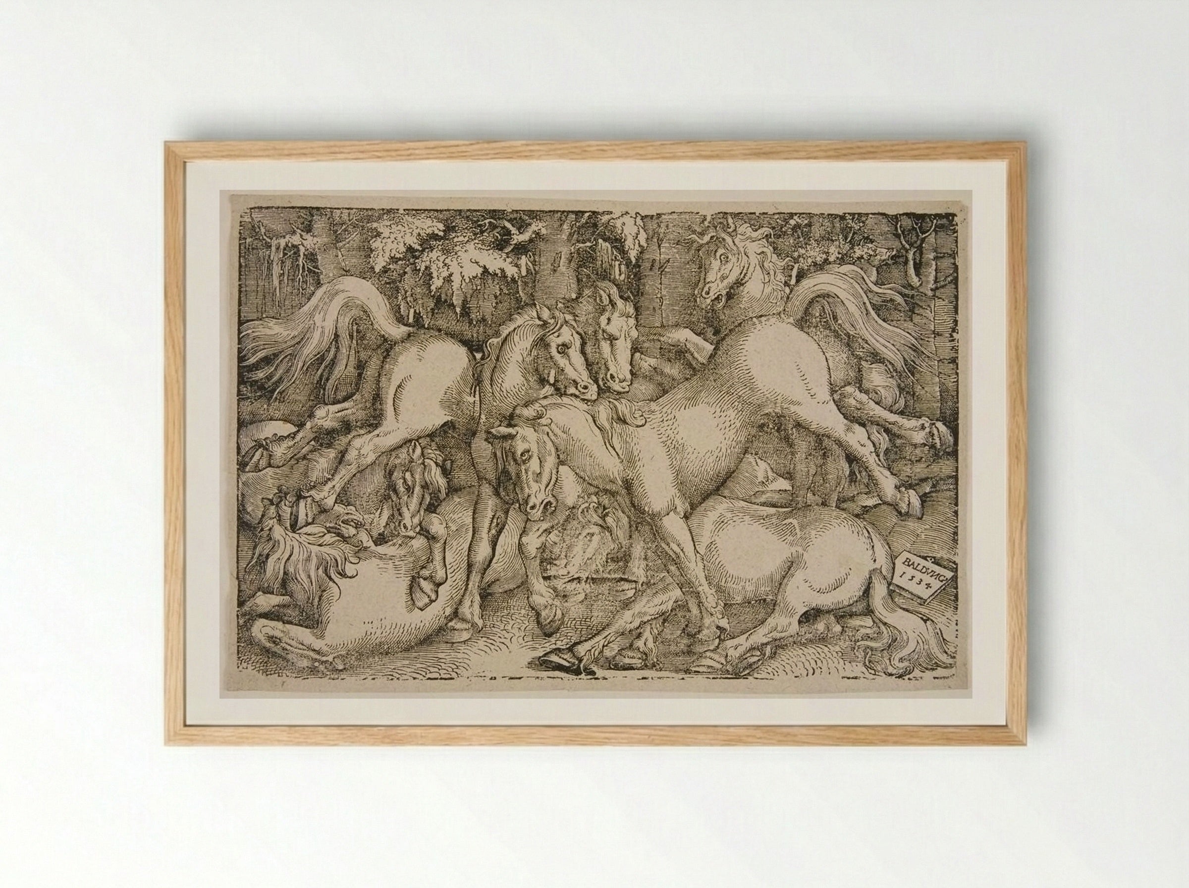 Fighting Wild Horses in a Wood - Hans Baldung Grien - Framed Print Wood