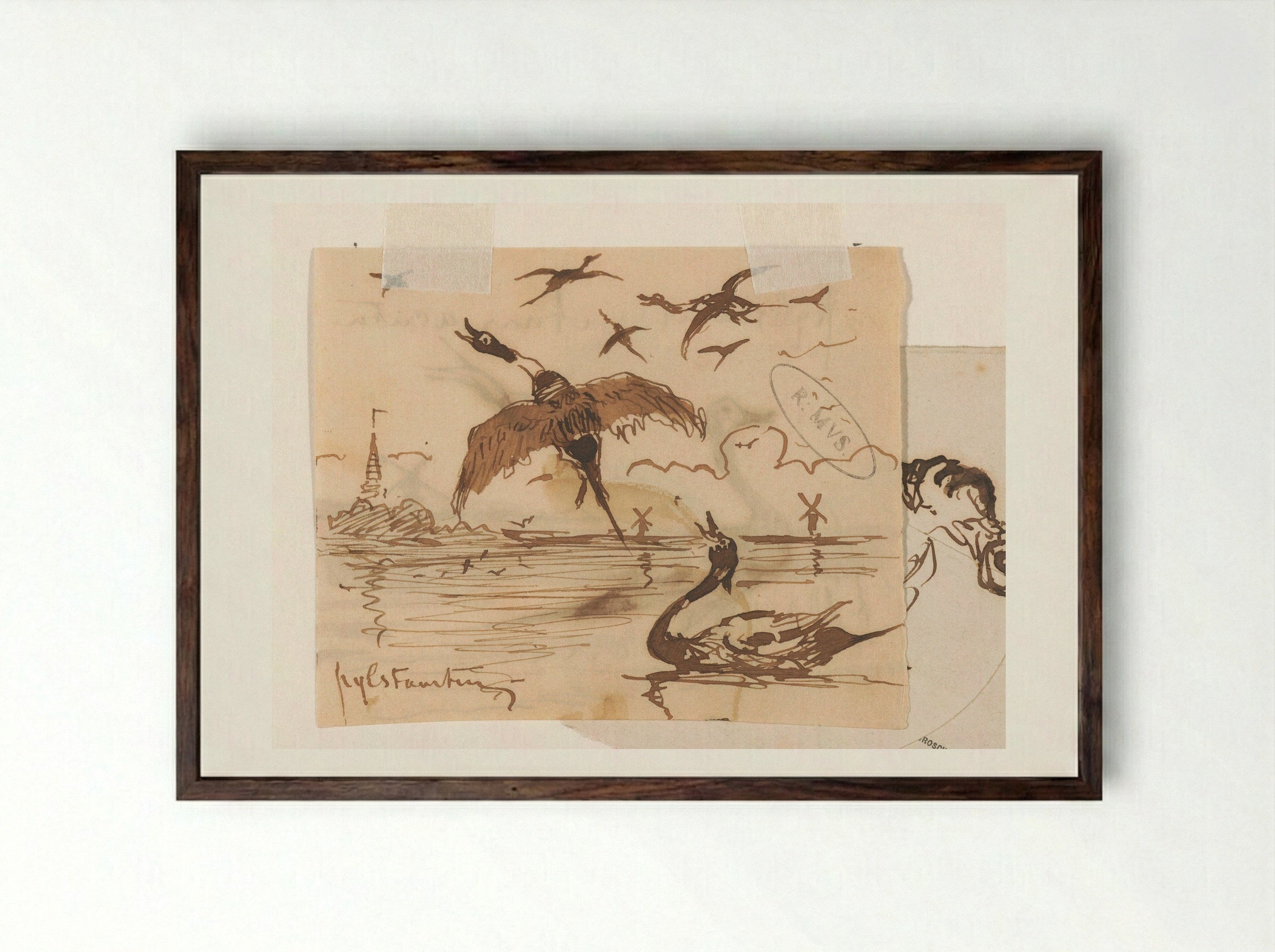 Pijlstaarteenden (Pintail Ducks) - Johannes Tavenraat - Framed Print Dark Wood
