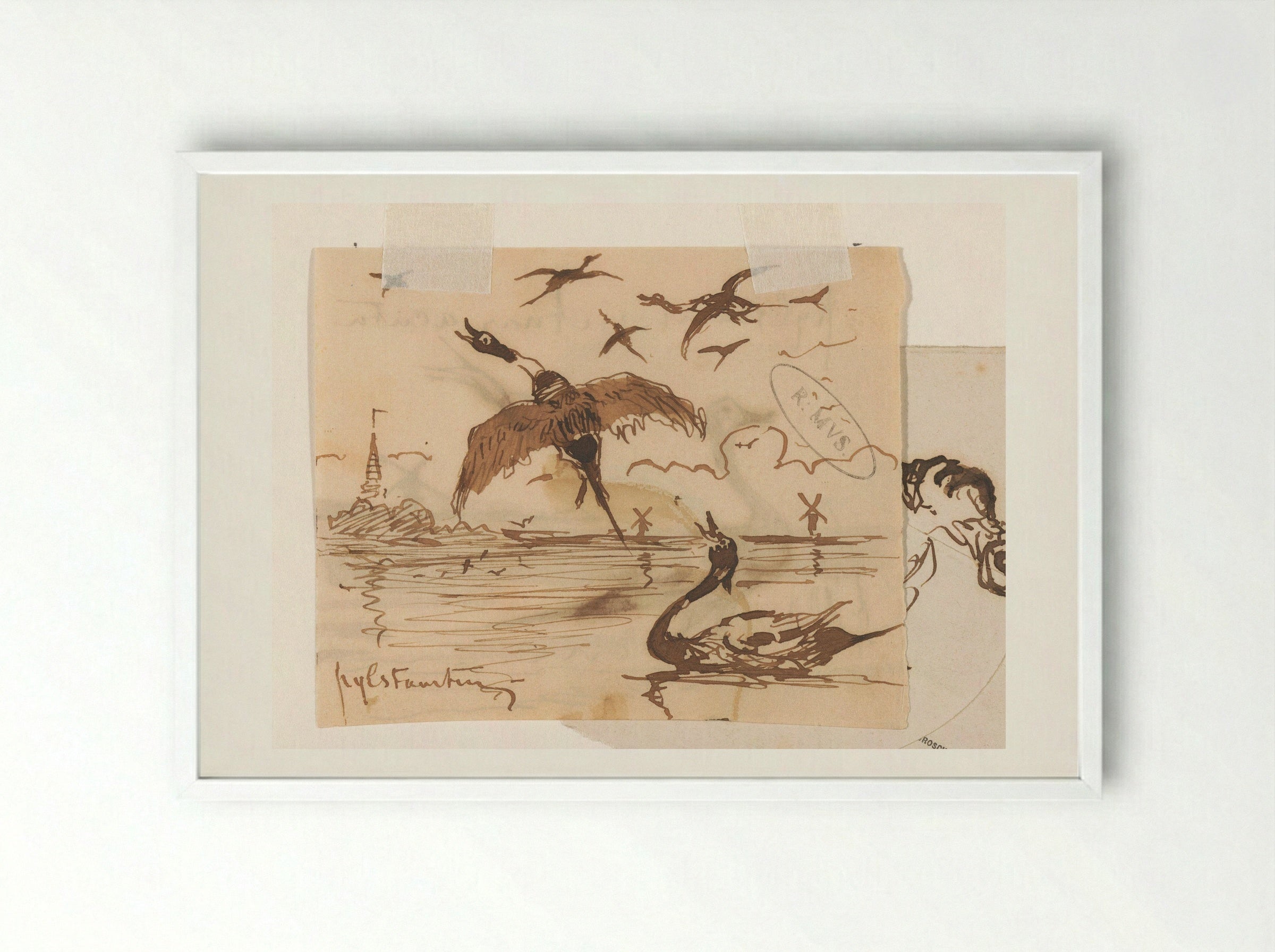 Pijlstaarteenden (Pintail Ducks) - Johannes Tavenraat - Framed Print White