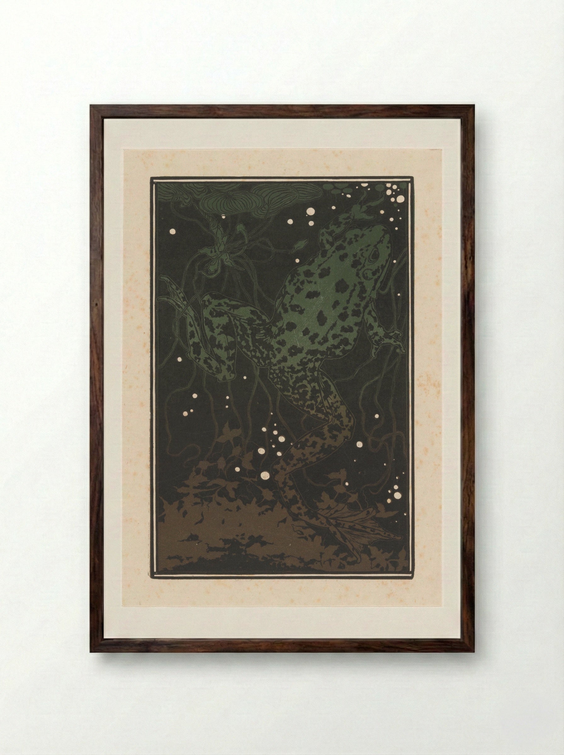Zwemmende kikker (Swimming Frog) - Julie de Graag - Framed Print Dark Wood
