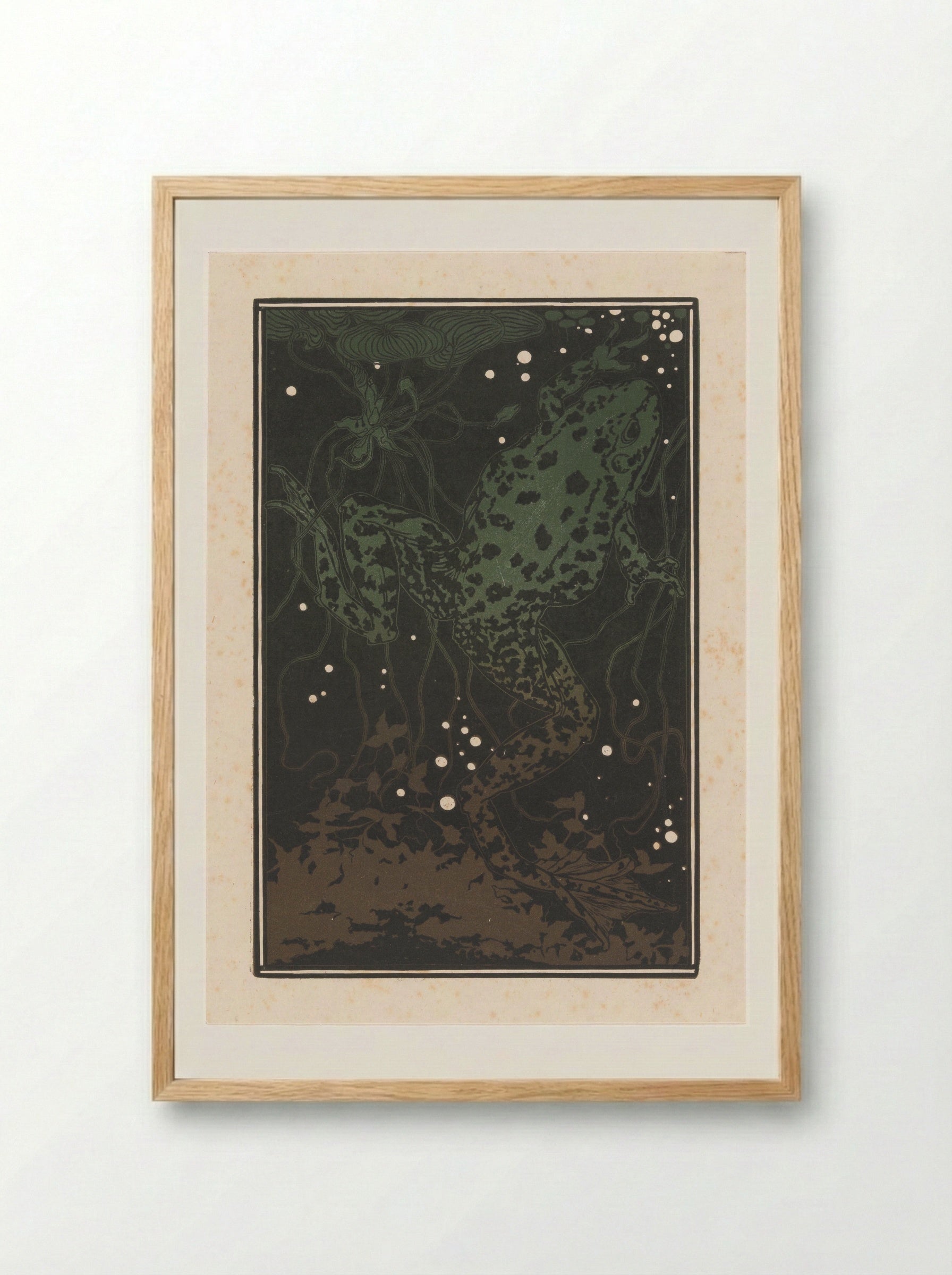 Zwemmende kikker (Swimming Frog) - Julie de Graag - Framed Print Wood