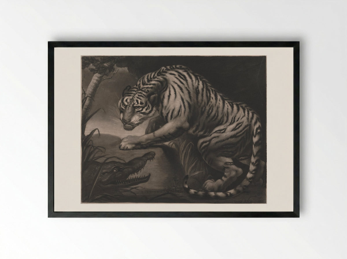 Tiger & Crocodile - Charles Turner - Framed Print Black